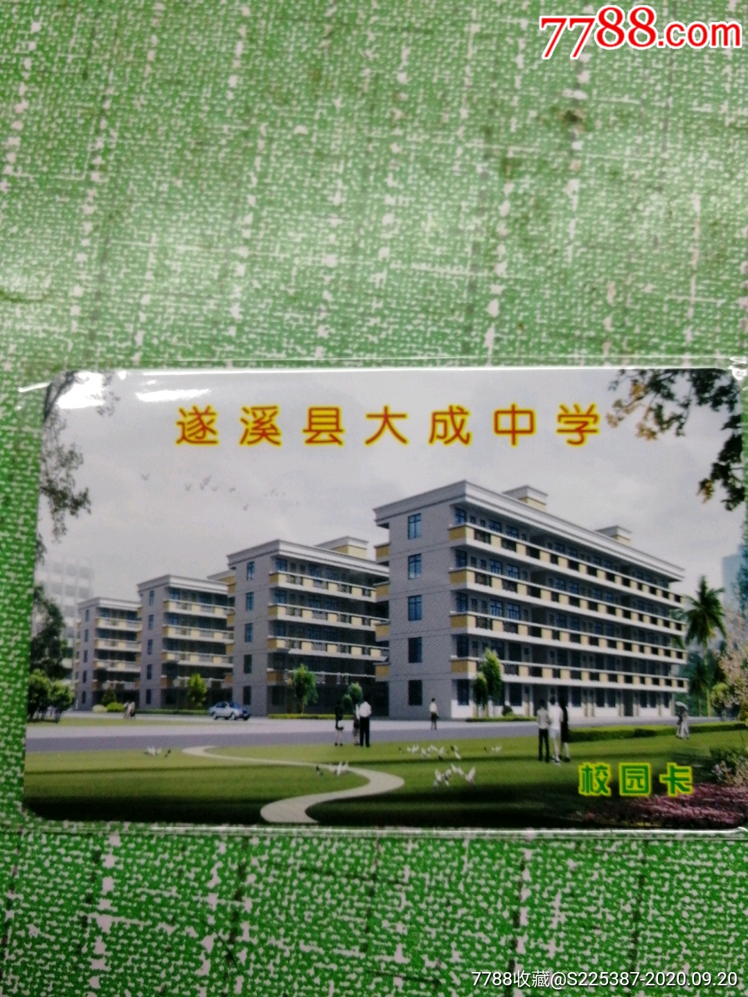 遂溪县大成中学2021图片