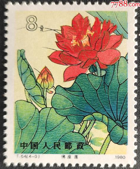 t54荷花43佛座莲邮票一枚