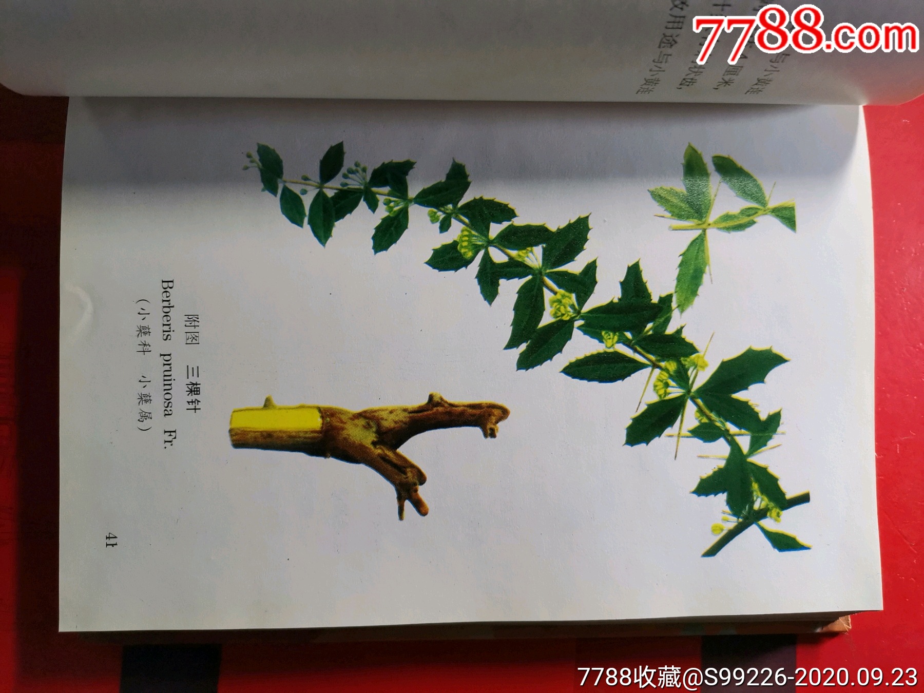 云南中草药彩图精选(珍藏上下本)