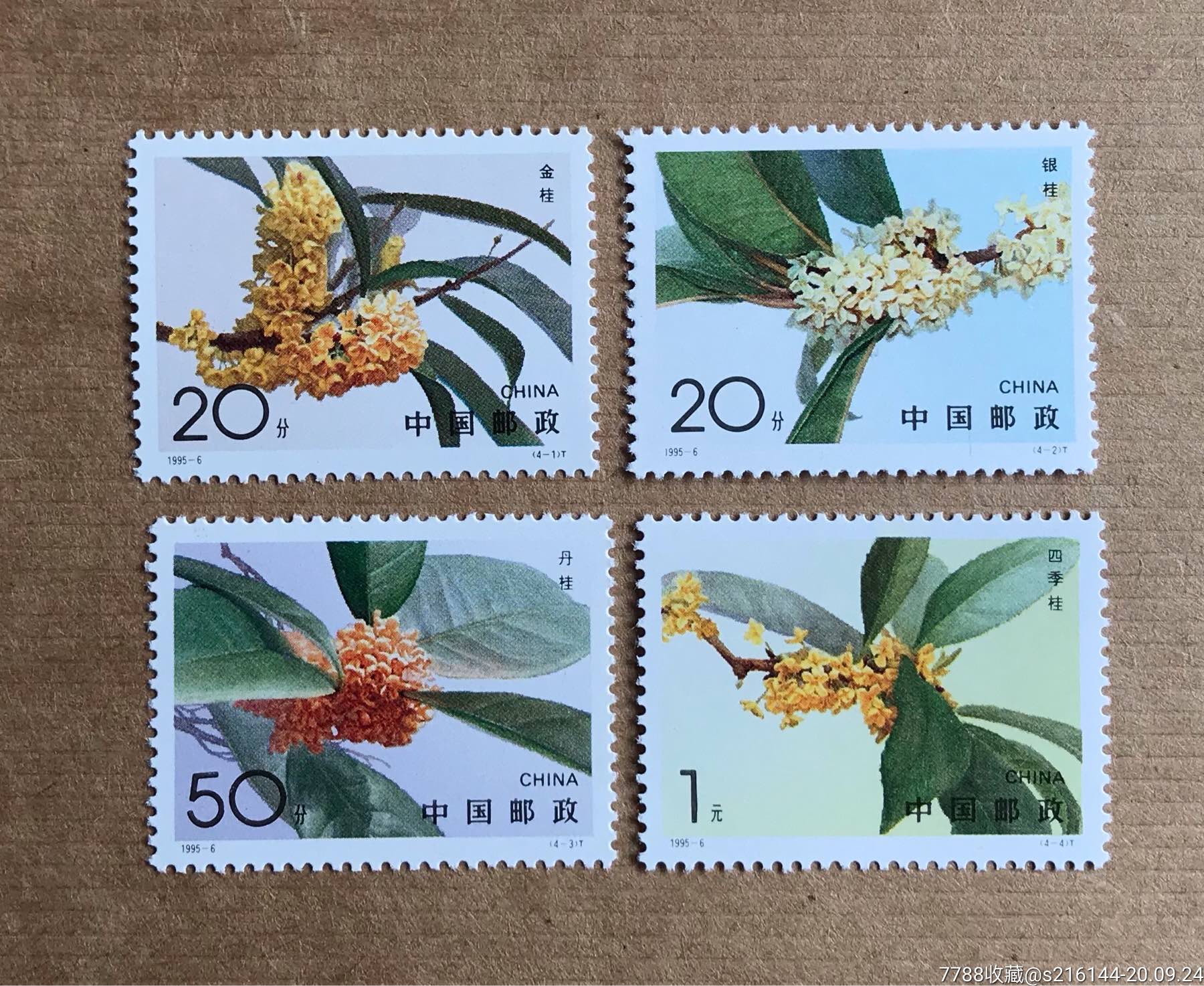 1995-6桂花-价格:4元-se75626430-新中国邮票-零售-7788收藏__收藏