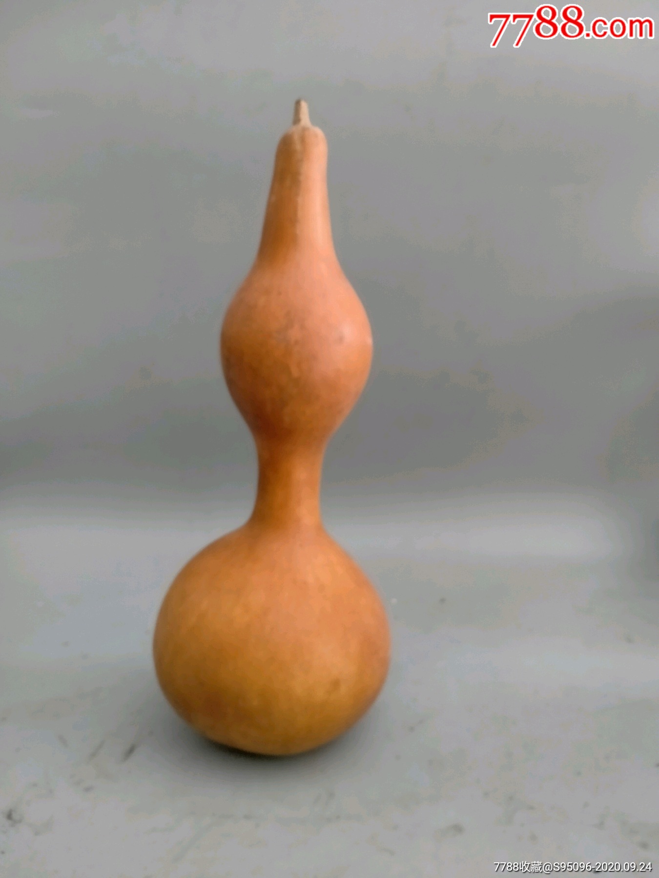 老葫芦大葫芦异形葫芦