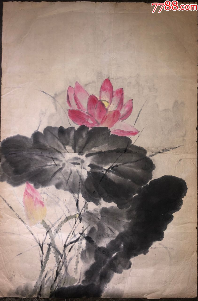 佚名花卉绘画作品1张荷花