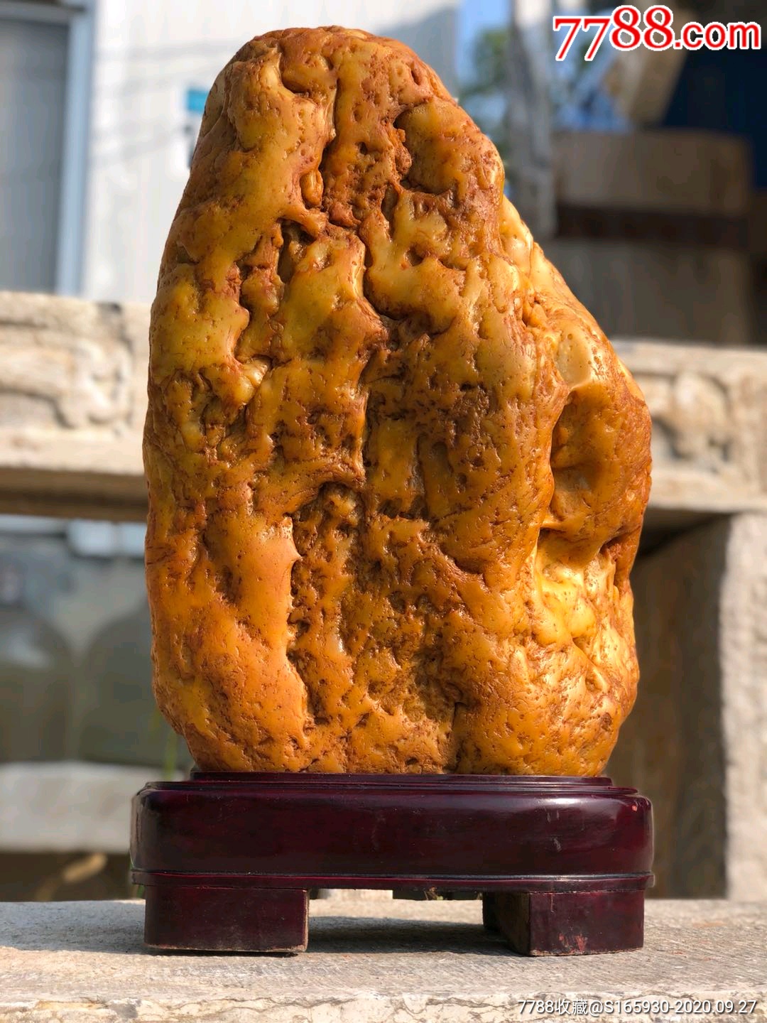 因其表层内蜡状质感而得名,石质金黄漂亮,自然成_价格1500