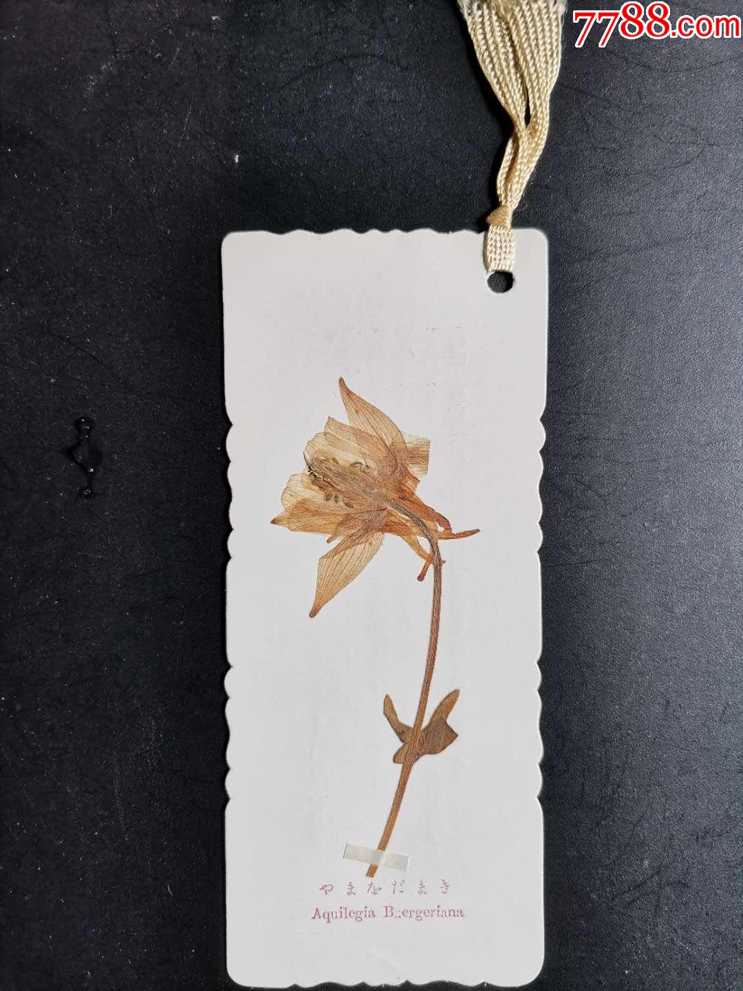 民国书签,日本高山植物手工制作标本135x58mm(9)_书签/藏书票_日通