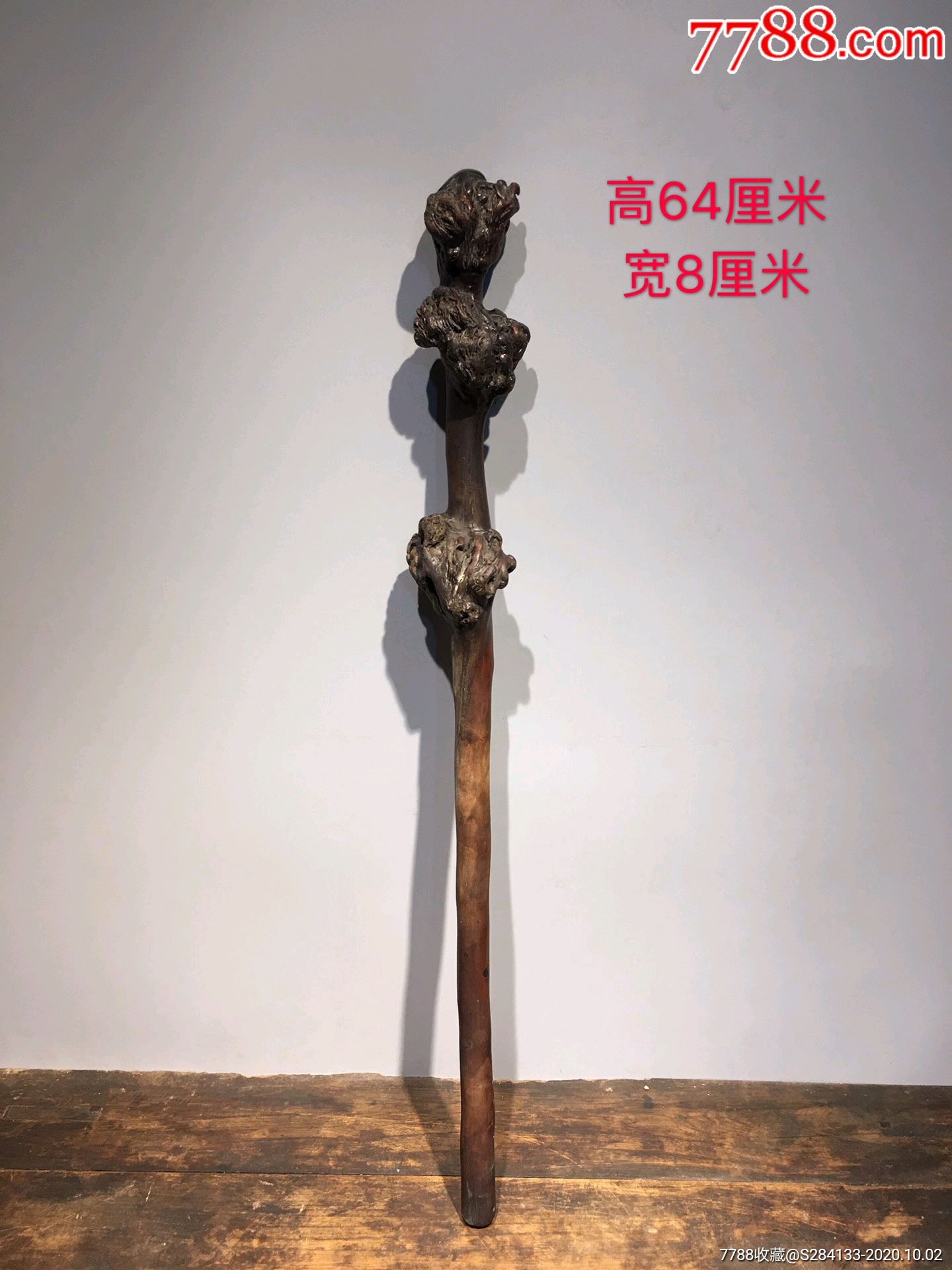 麻梨疙瘩拐杖制作方法图片