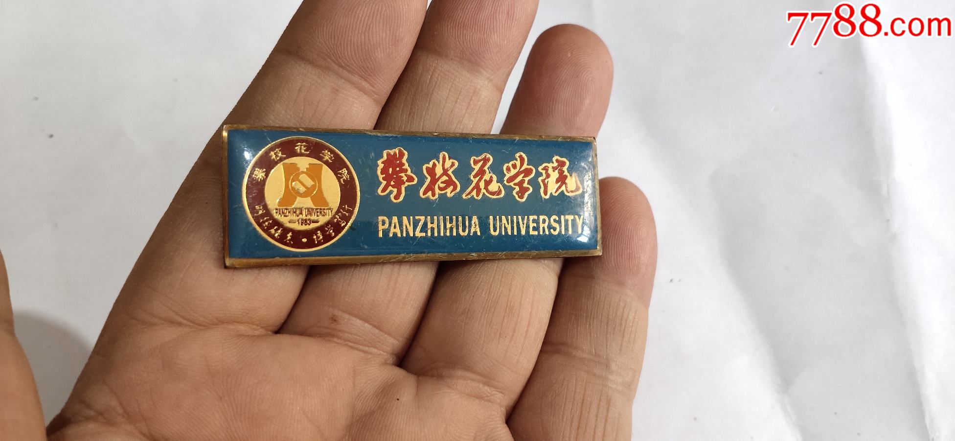 攀枝花学院校徽