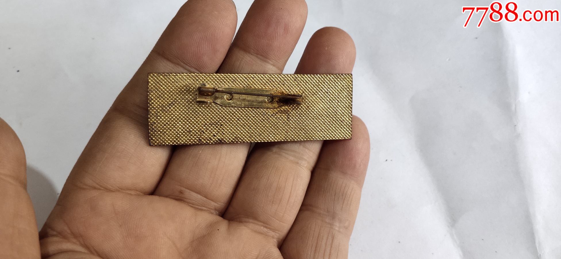 攀枝花学院校徽