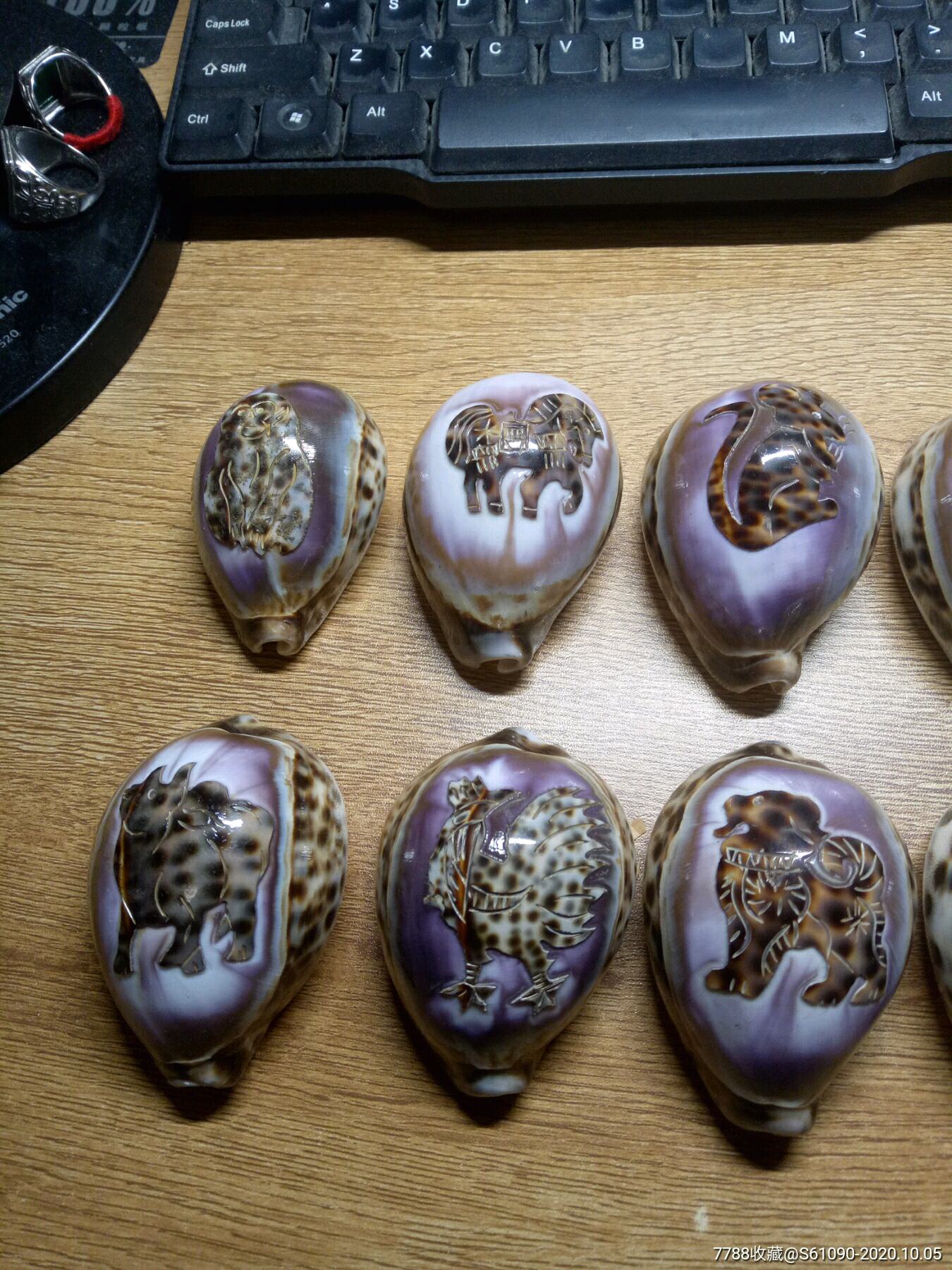 虎纹螺雕十二生肖全套12枚_海螺制品_三无人员摆地摊【7788烟酒茶牌】