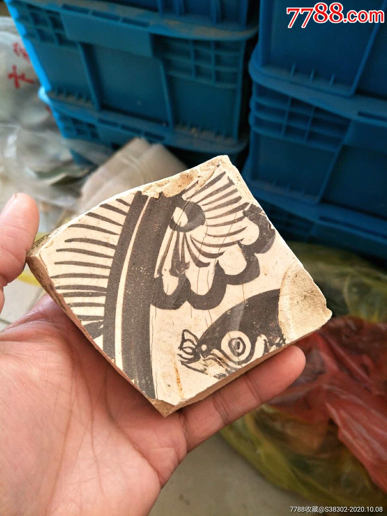 元代磁州窑白釉褐彩鱼纹瓷片临清运河古玩店万枚瓷片标本馆