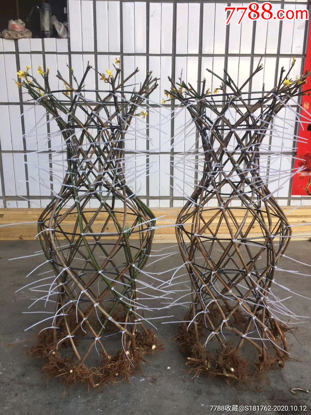 美景花瓶与花瓶骨架