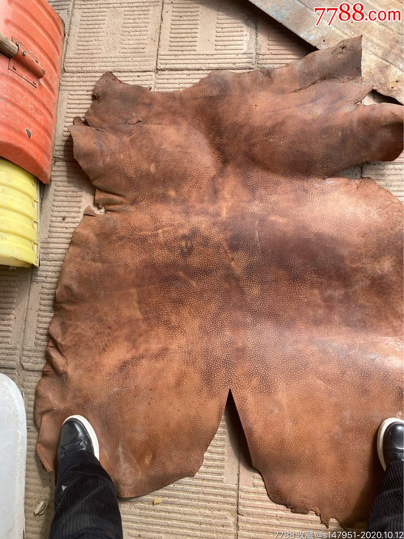 猪皮整张皮料二手旧货收藏道具
