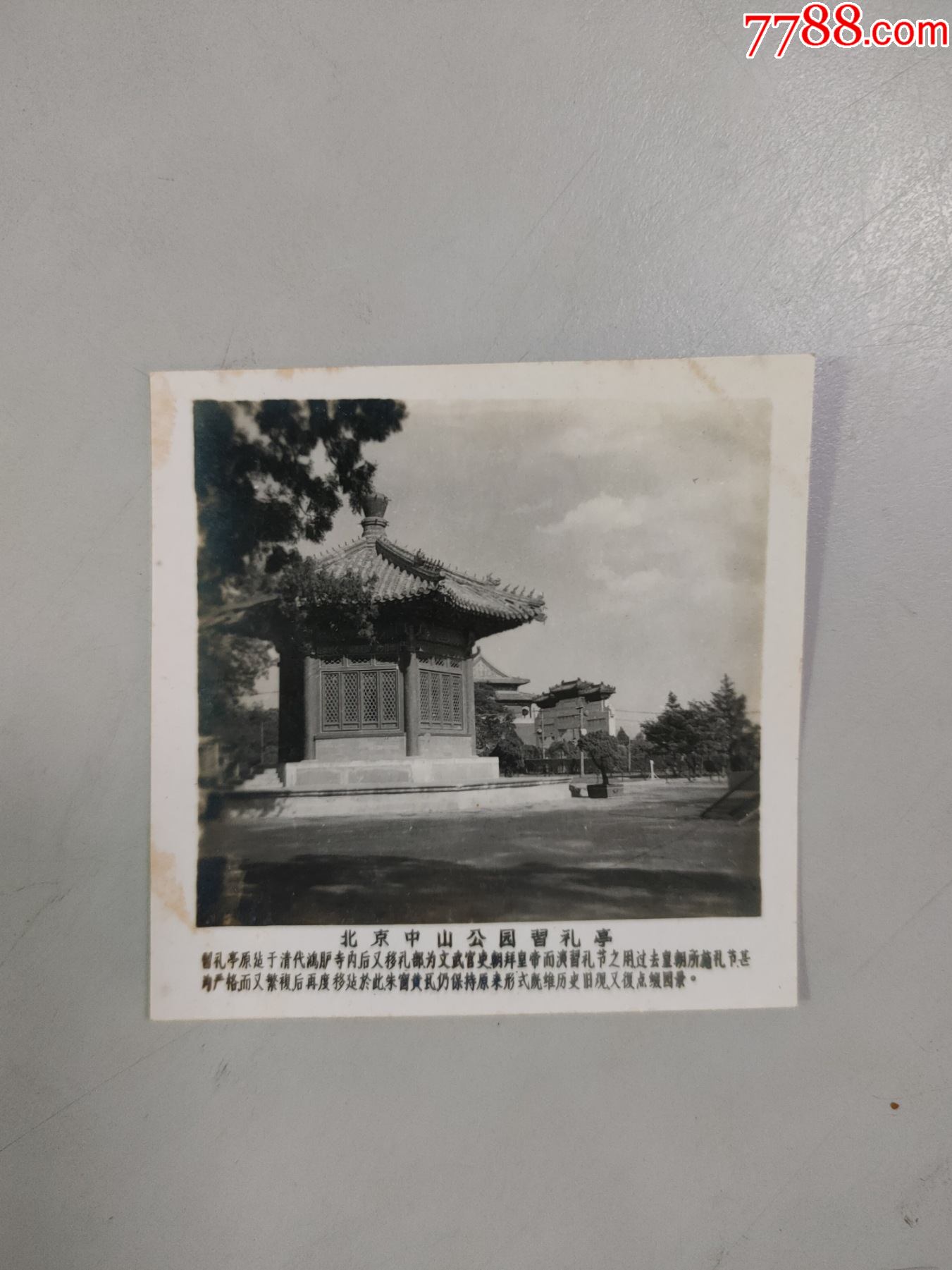 北京中山公园习礼亭老照片五十年代