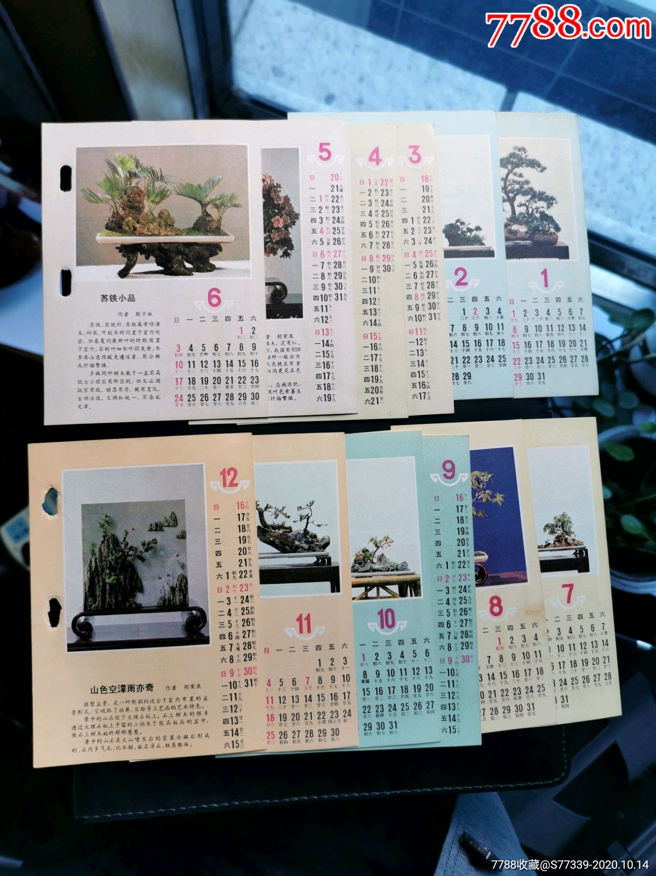 1984月历卡-价格:15元-se75999803-年历卡/片-零售-7788收藏__收藏