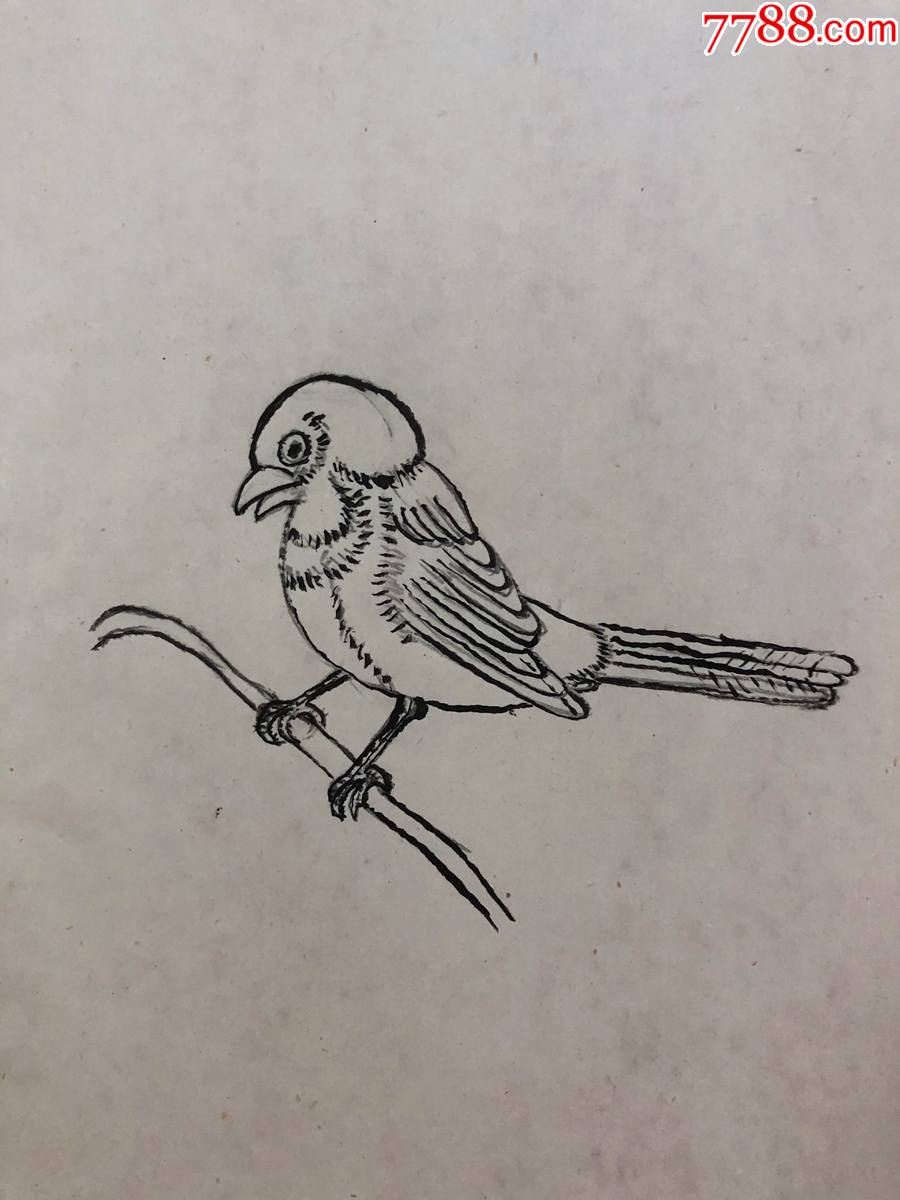 书画8870无款工笔白描花鸟画稿-花鸟国画原作-7788书画网