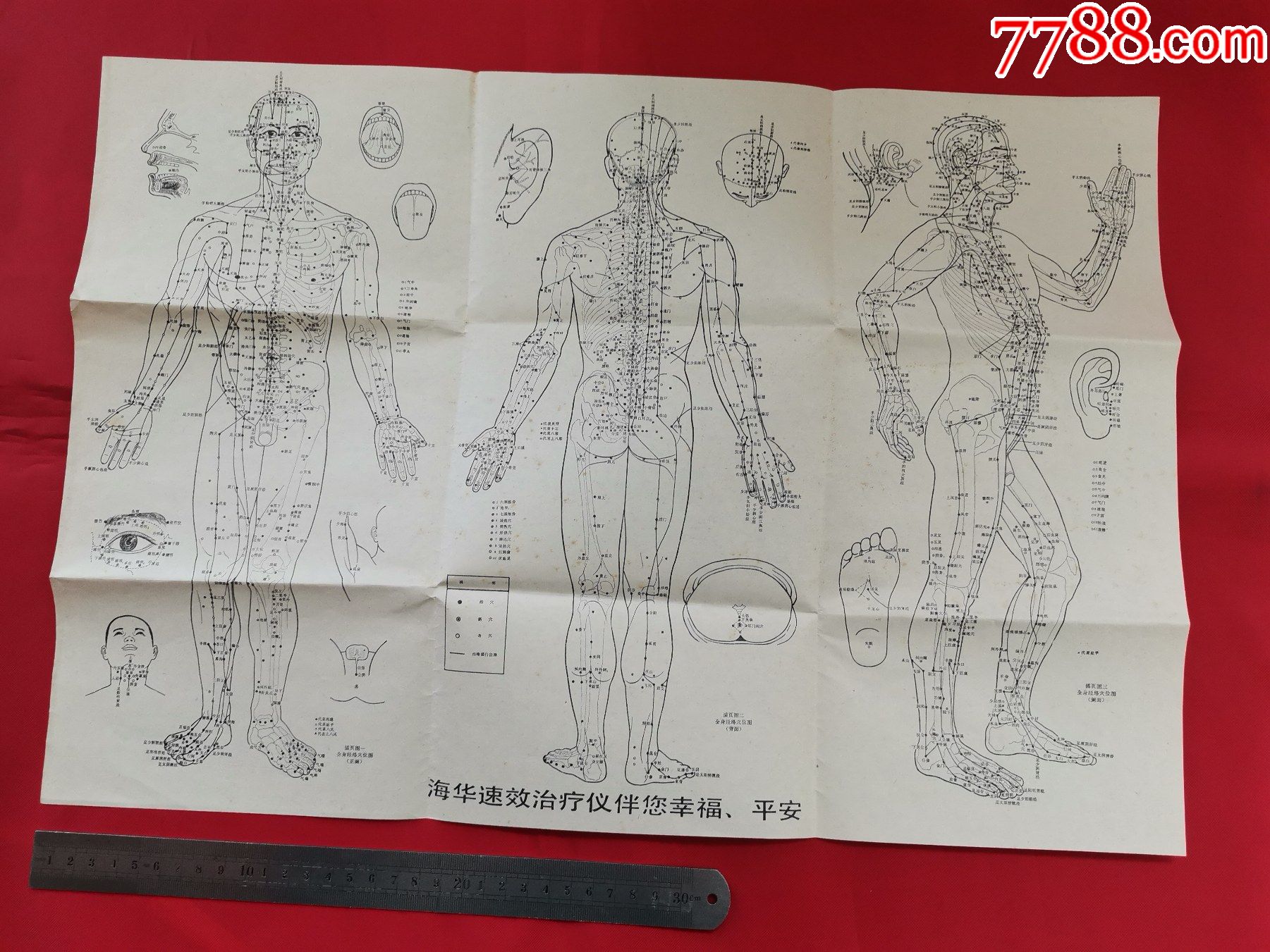 全身经络穴位图