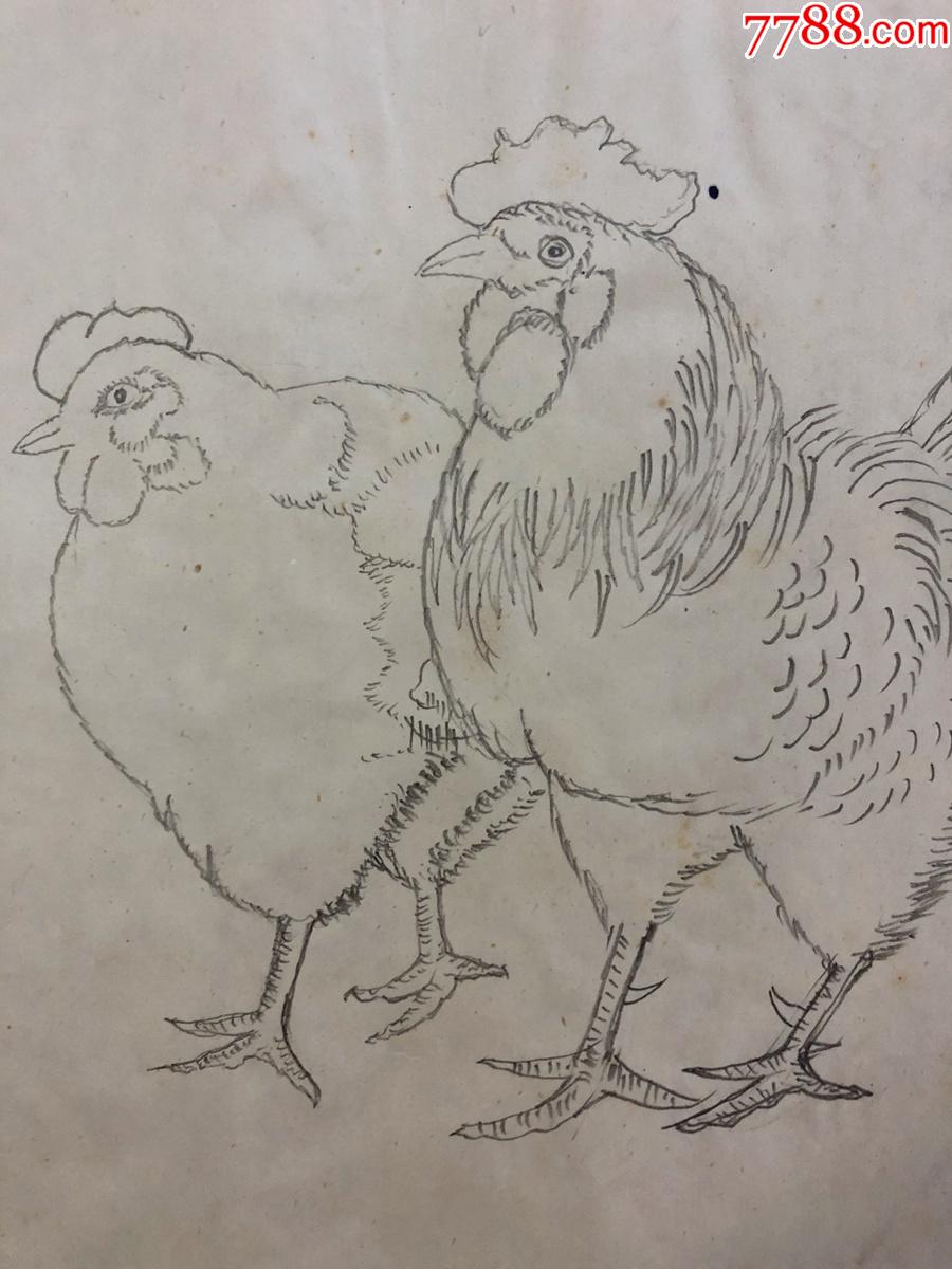 书画8878无款工笔白描花鸟画稿_花鸟国画原作_作品欣赏_收藏价值_7788