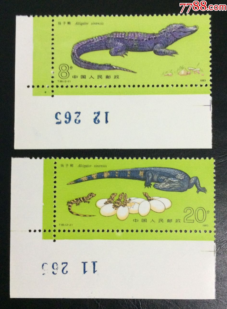 t85扬子鳄左下直角边版号相同_新中国邮票_第1张_7788集邮网