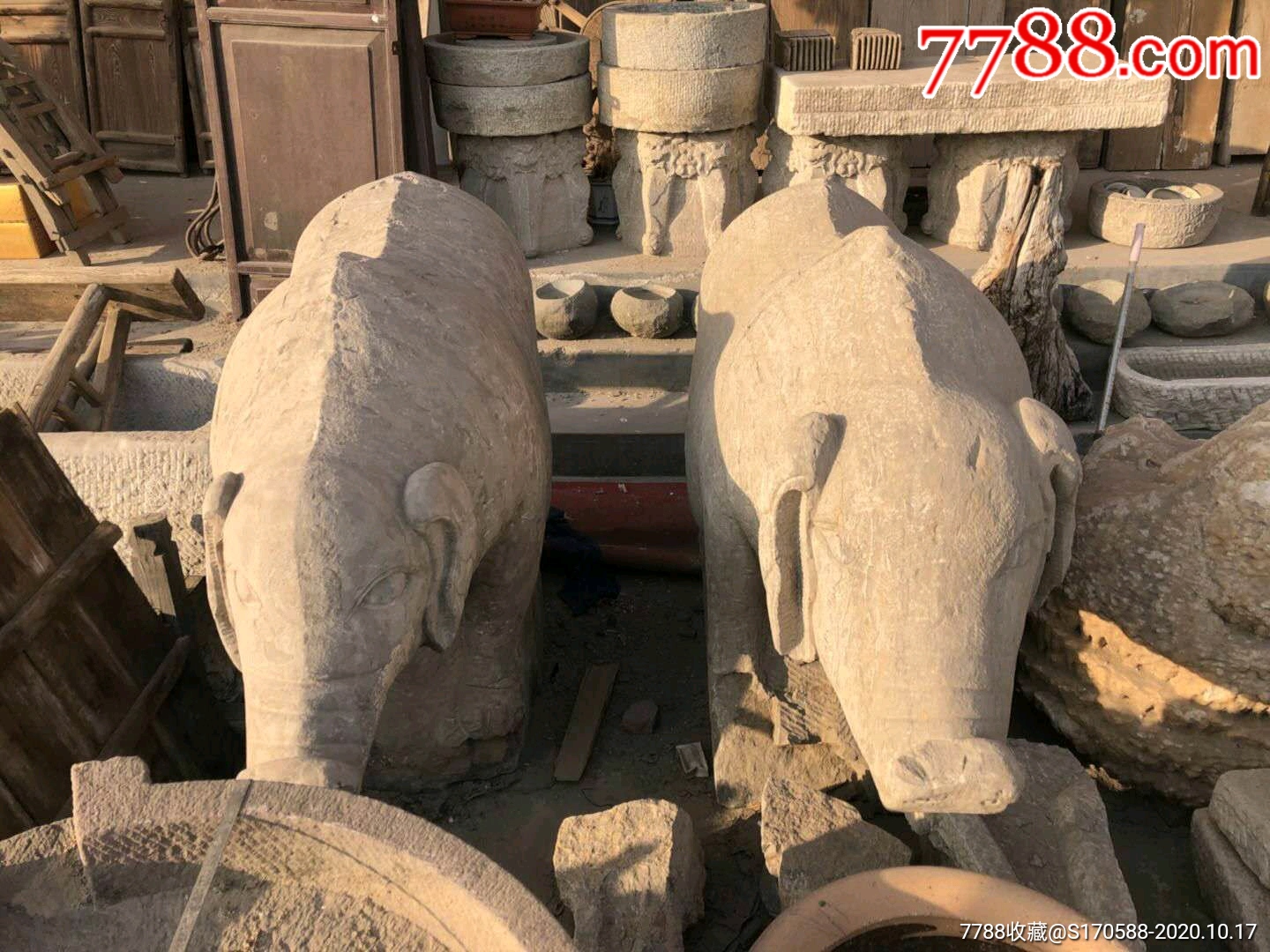 清代,青石石猪一对,个大,造型独特,皮壳包浆浑厚-石狮/石雕塑-7788