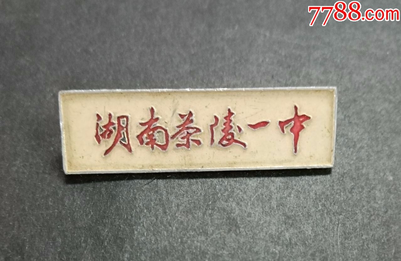 湖南茶陵一中