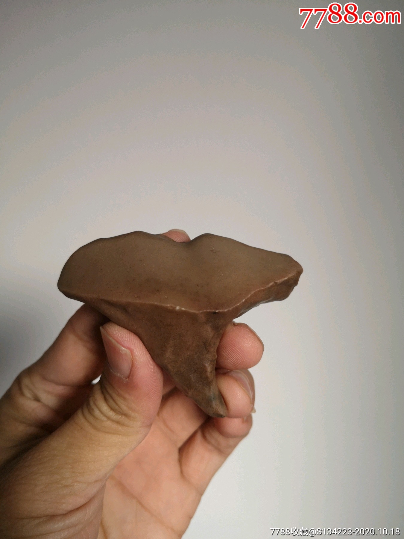 戈壁石《灵芝仙草》