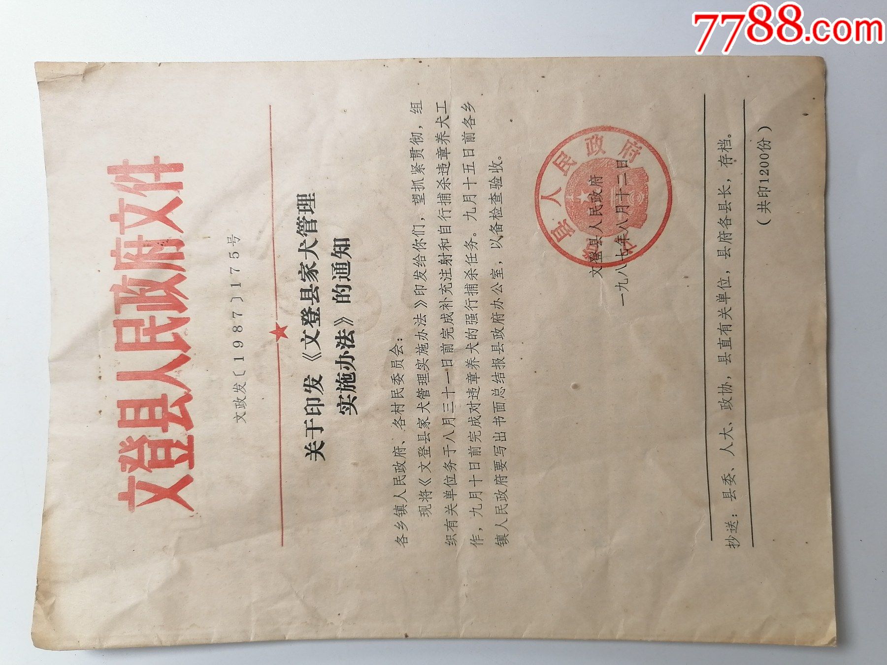 文登县人民政府文件