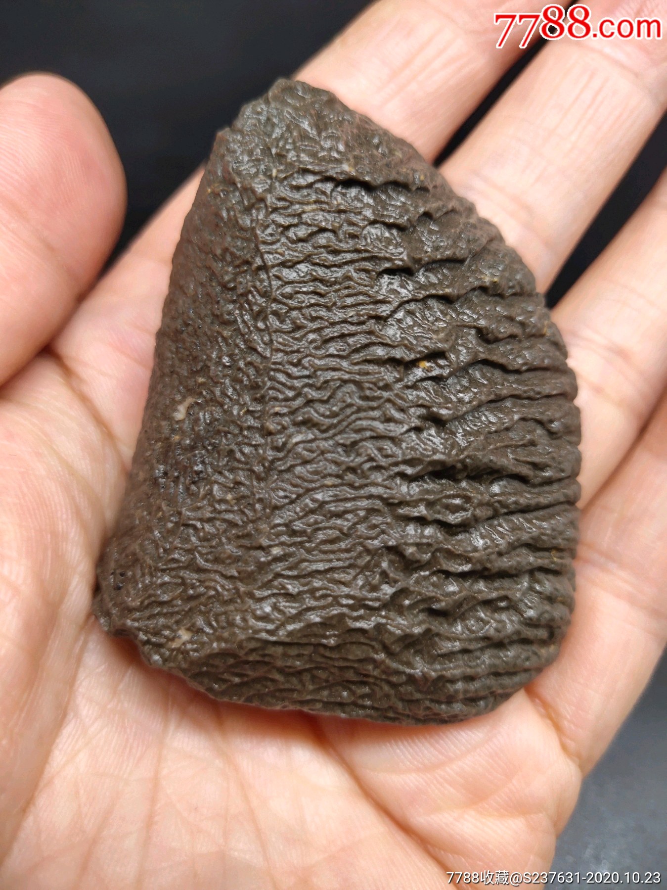 新疆皱褶纹泥石_风砺石/戈壁石_新疆和田籽玉缘【7788收藏__收藏热线