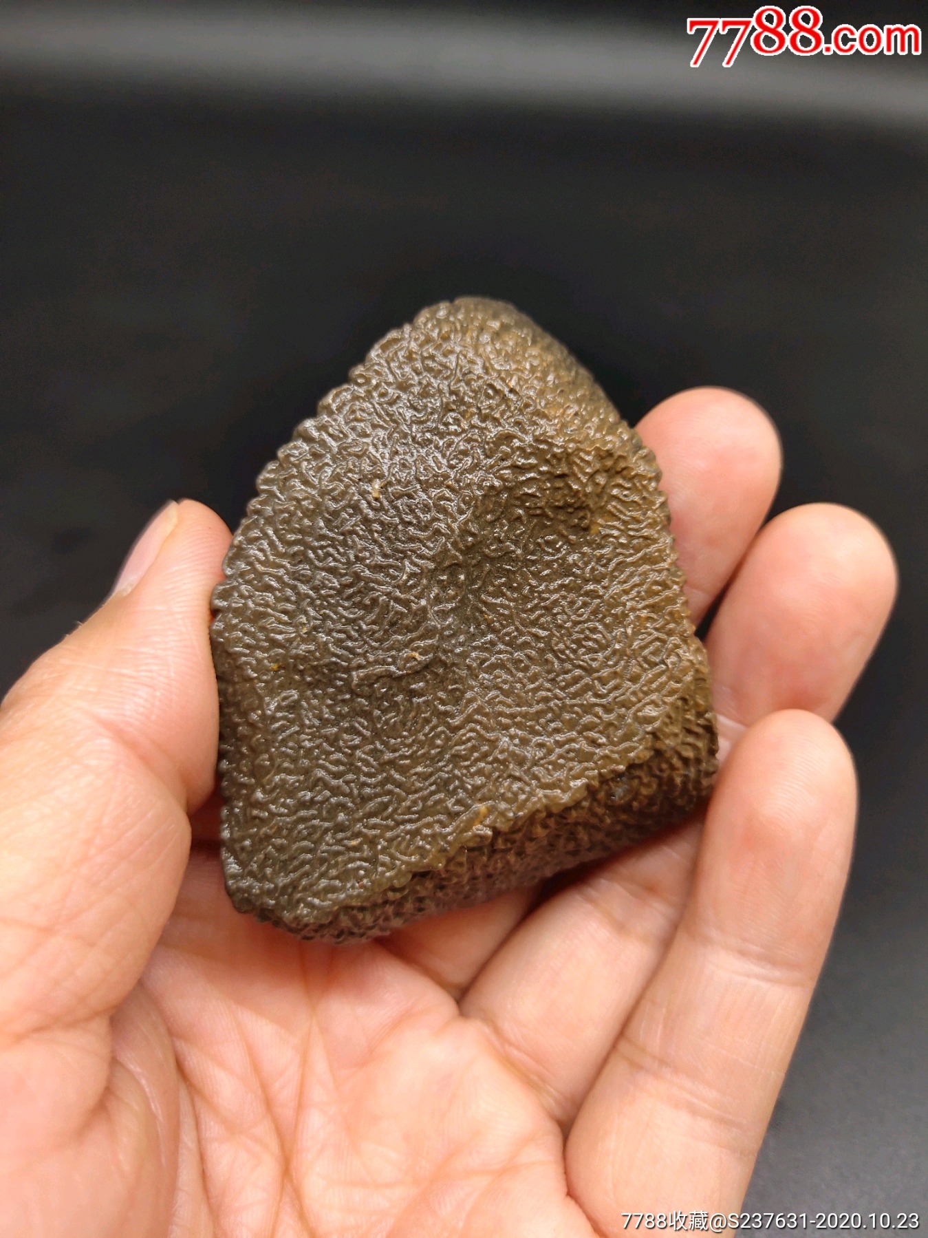 新疆皱褶纹泥石-风砺石/戈壁石-7788工艺品