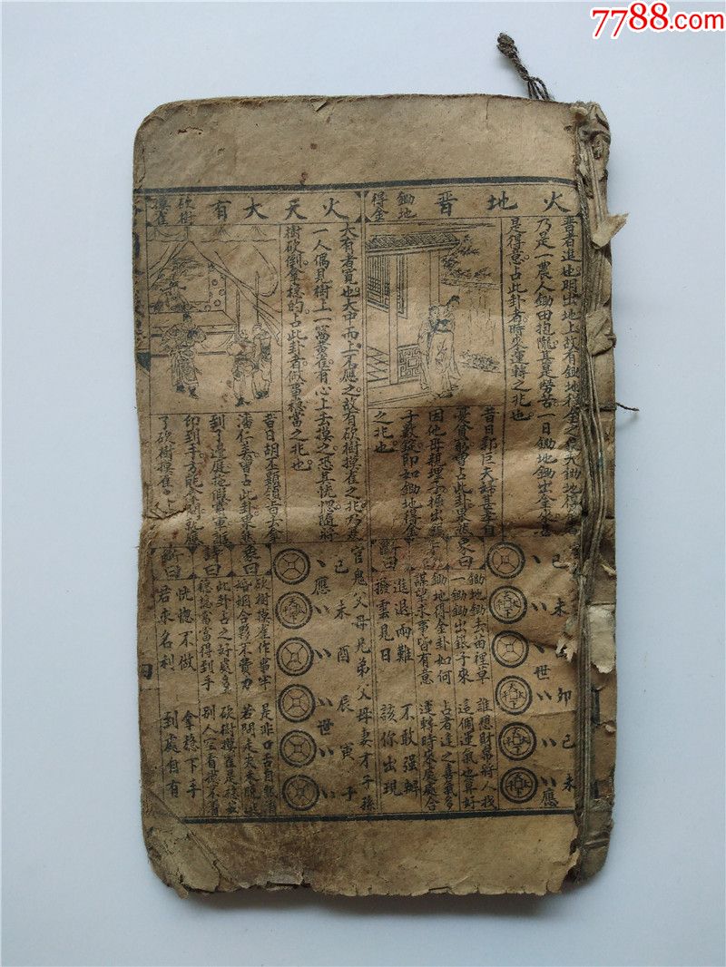 少见绘图金钱课