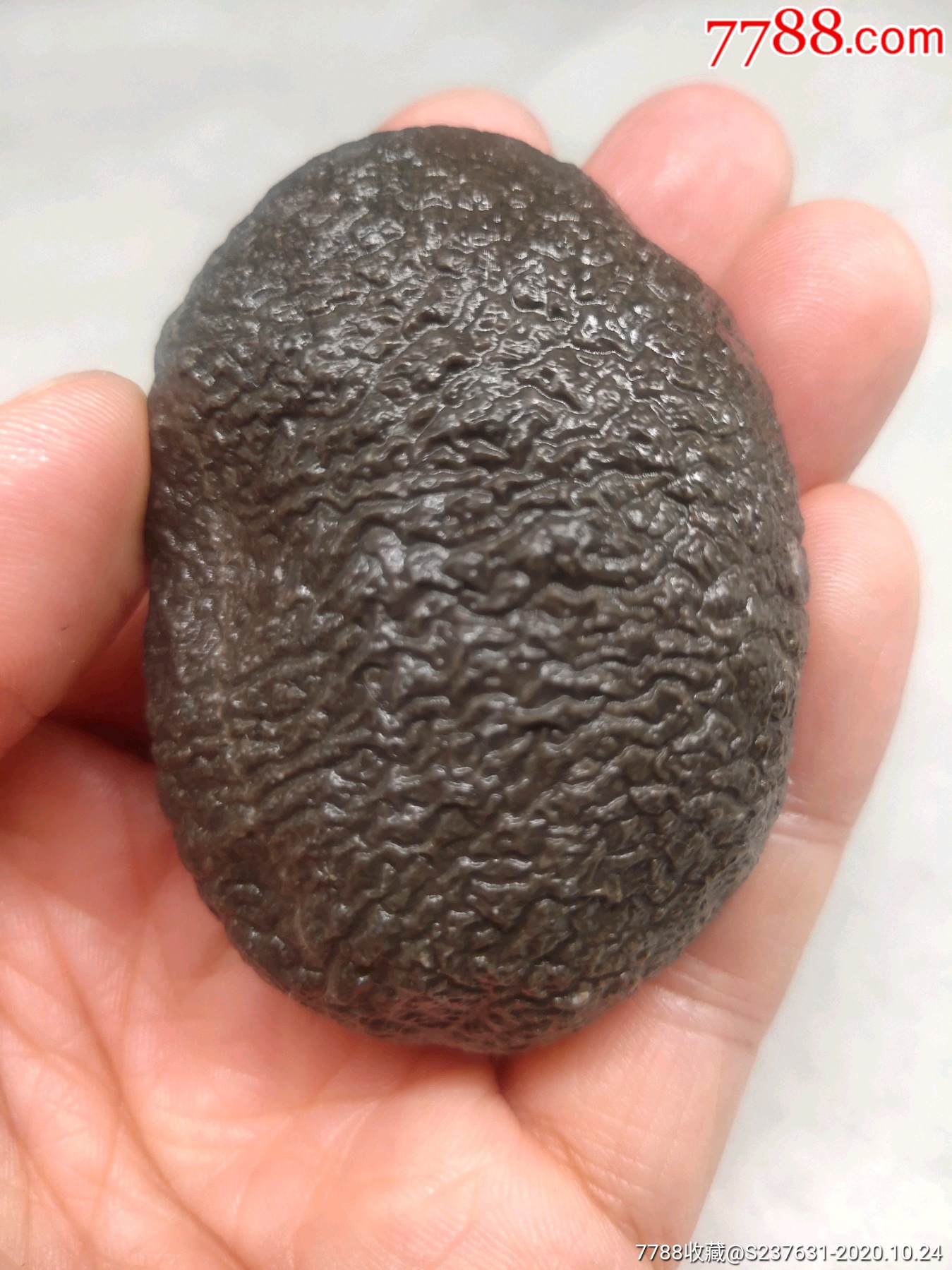 新疆皱褶纹泥石