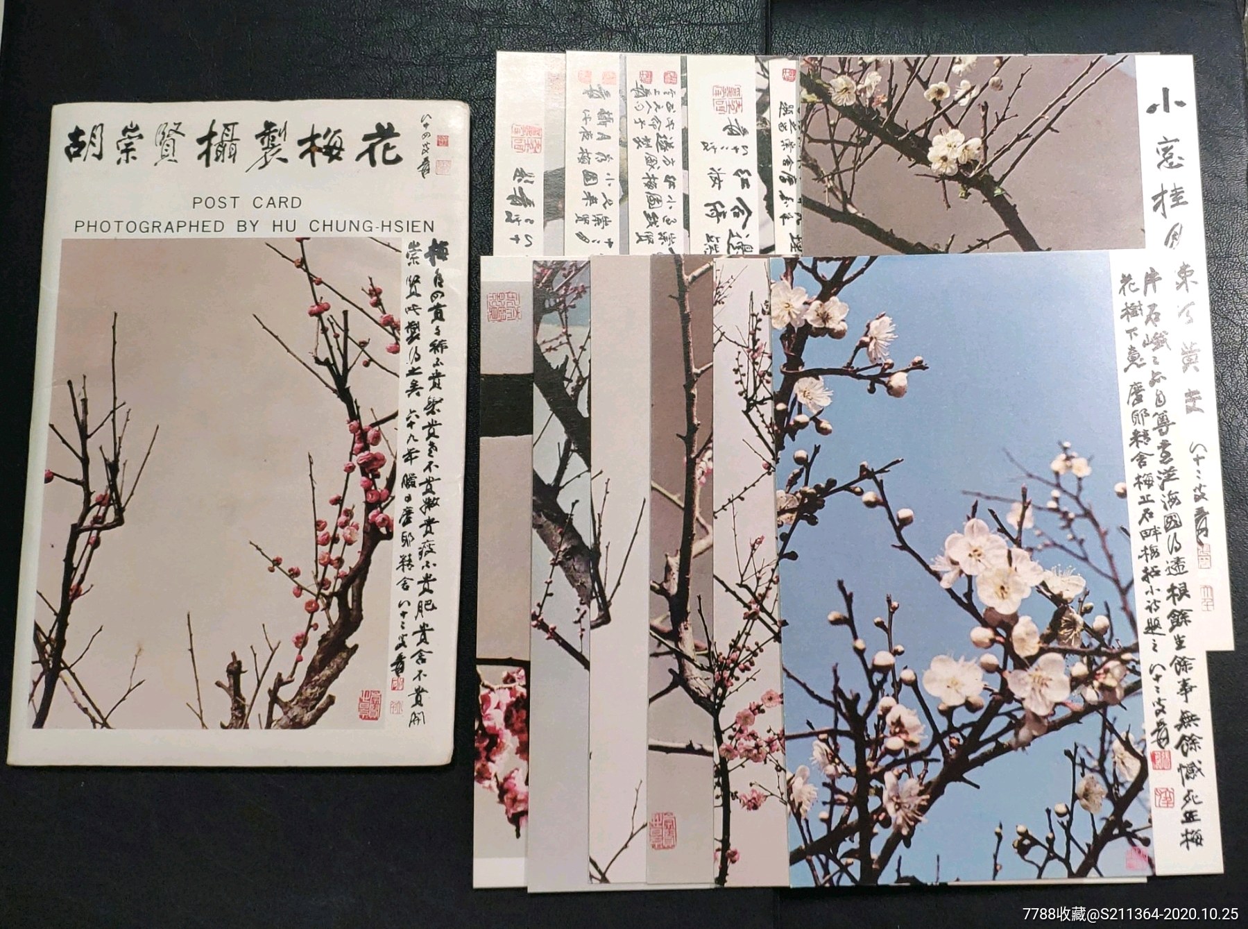 植物卡片制作梅花图片