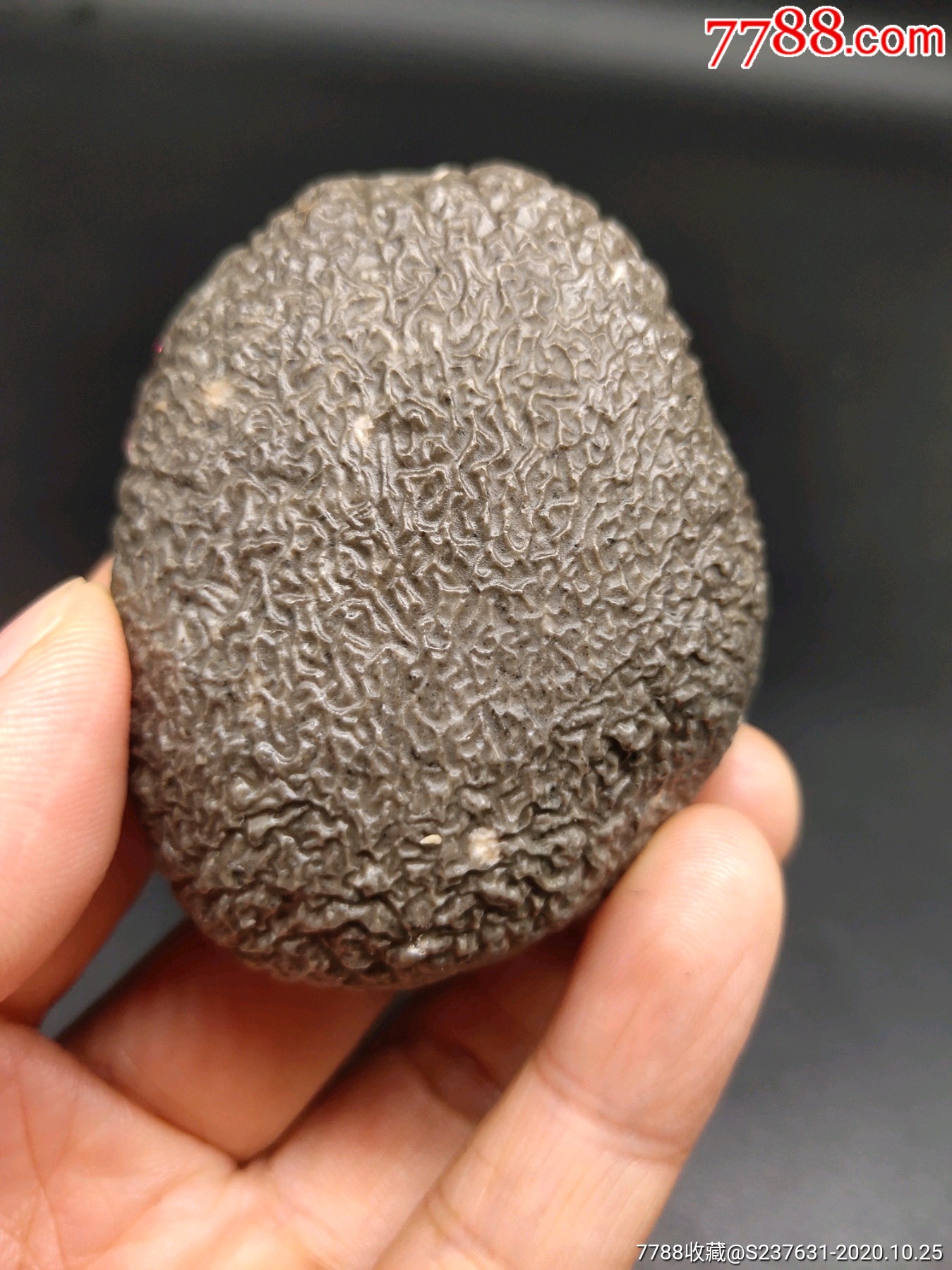 新疆皱褶纹泥石