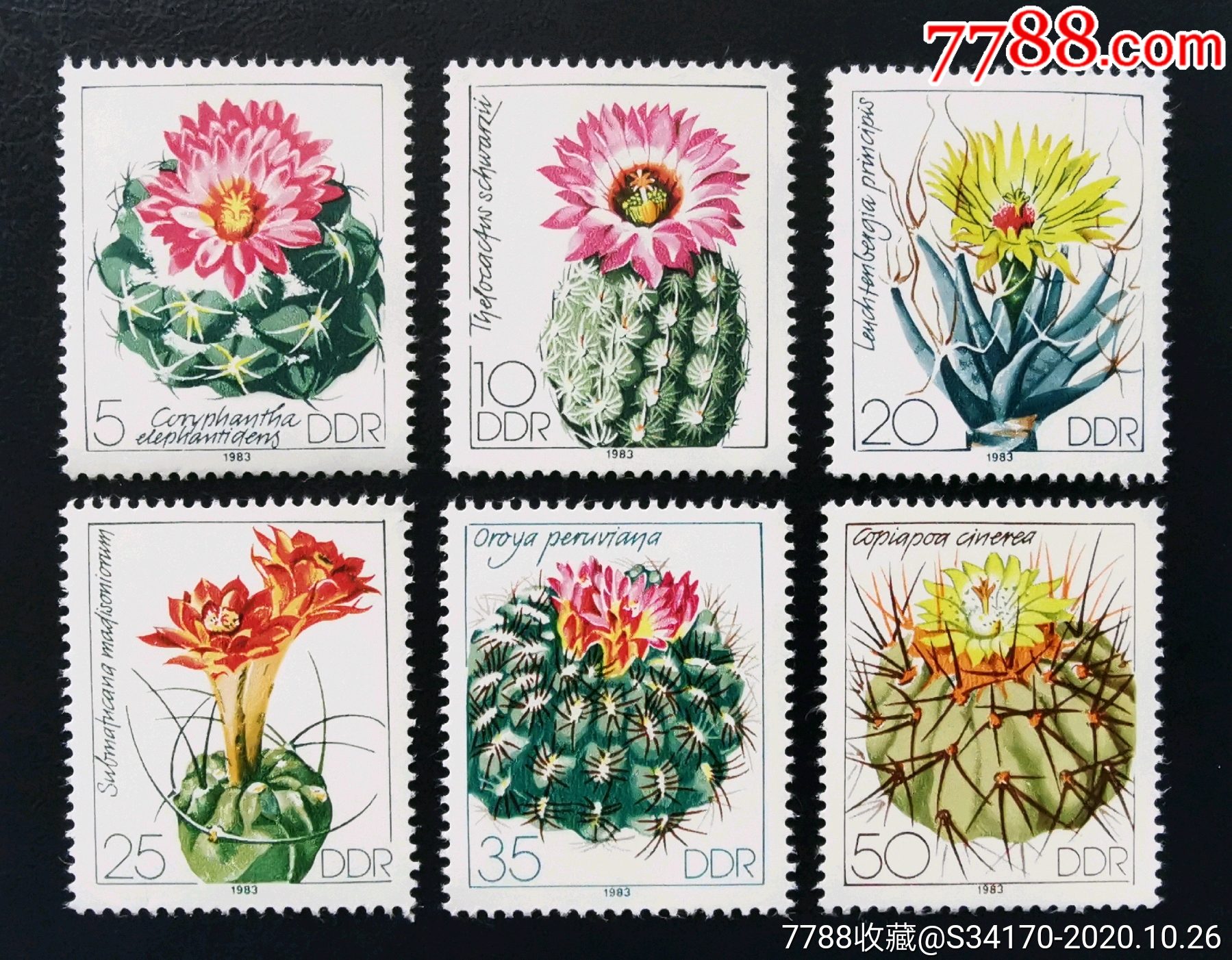 东德1983年邮票多肉植物仙人掌象球瑞云雪光黑王球等6全新