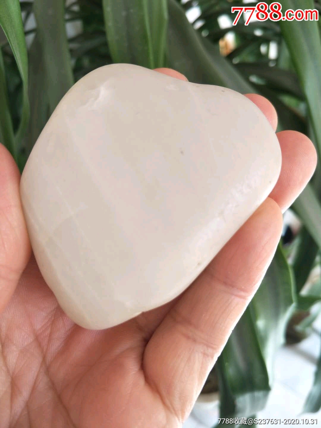 0浏览量:备注:东陵石,自己捡来的,这是一块白色的东陵石,图片和实物不