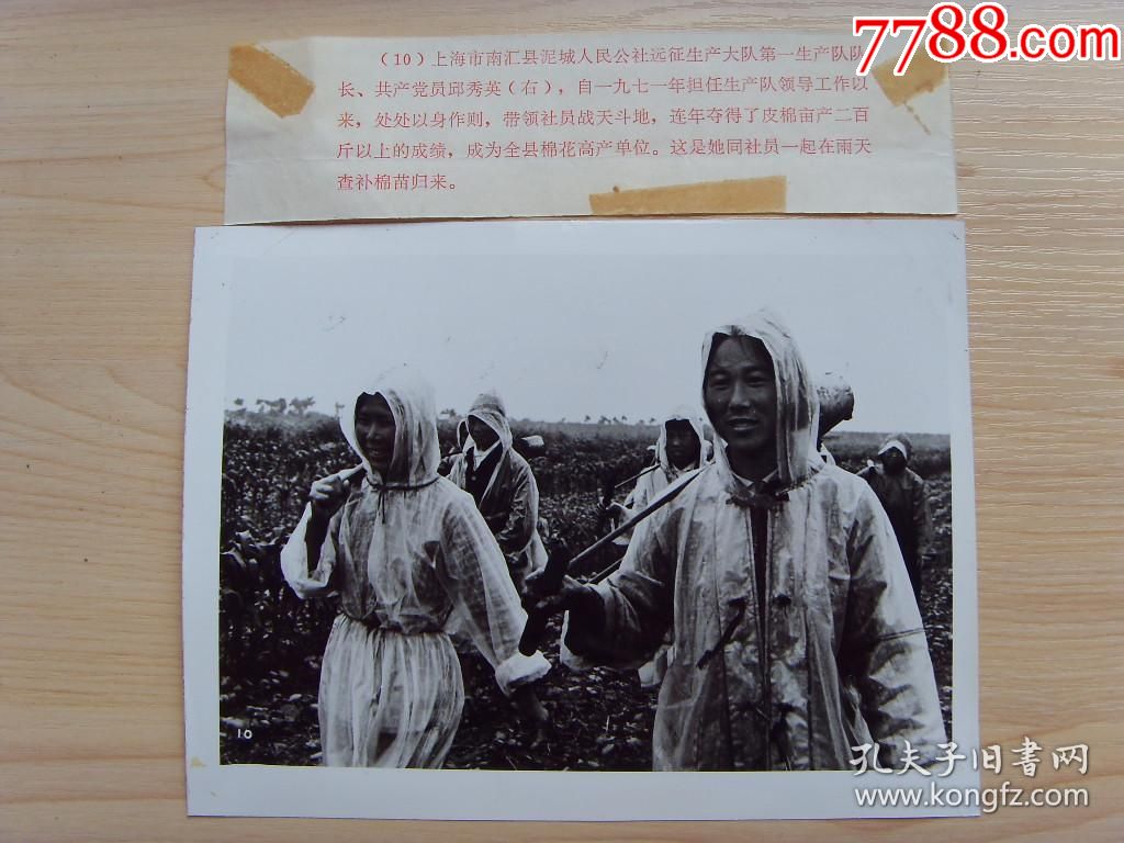 1973年上海市南汇县泥城公社生产队长邱秀英带领社员战天斗地冒雨查补