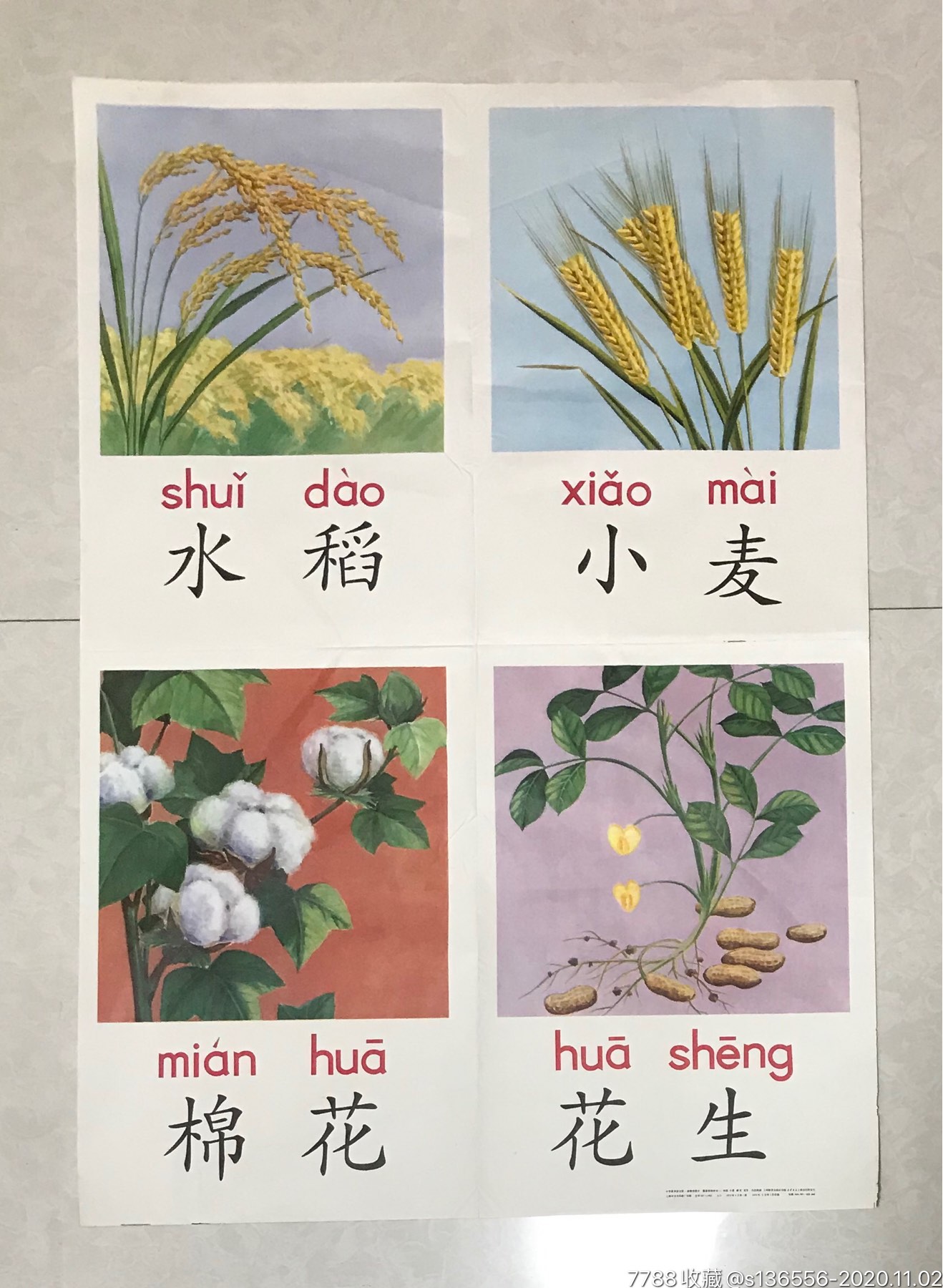 水稻小麦棉花花生