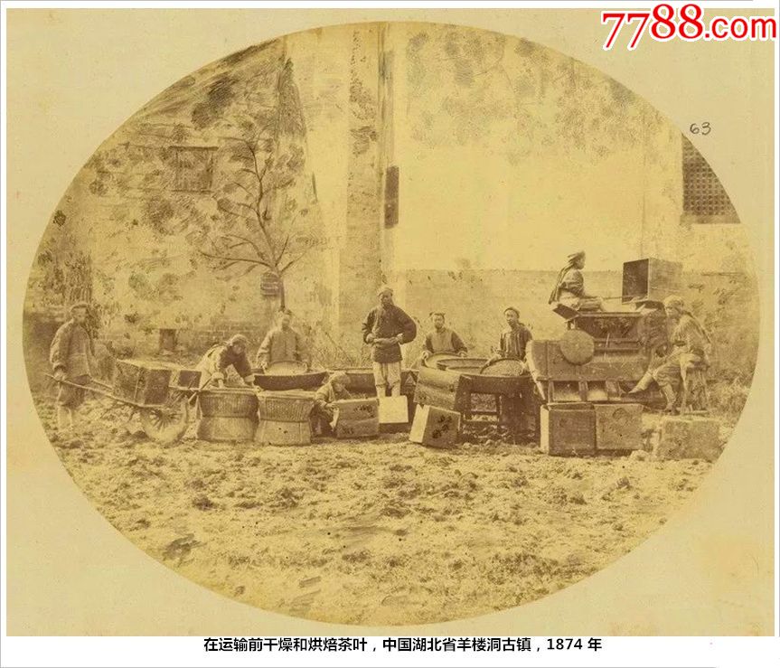 在运输前干燥和烘焙茶叶,中国湖北省羊楼洞古镇,1874年