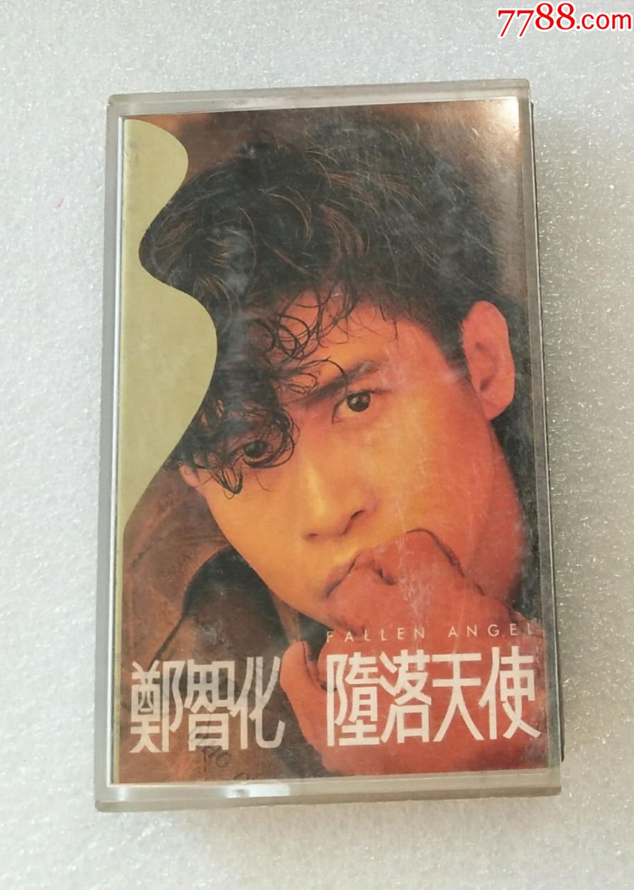 郑智化堕落天使台可登版