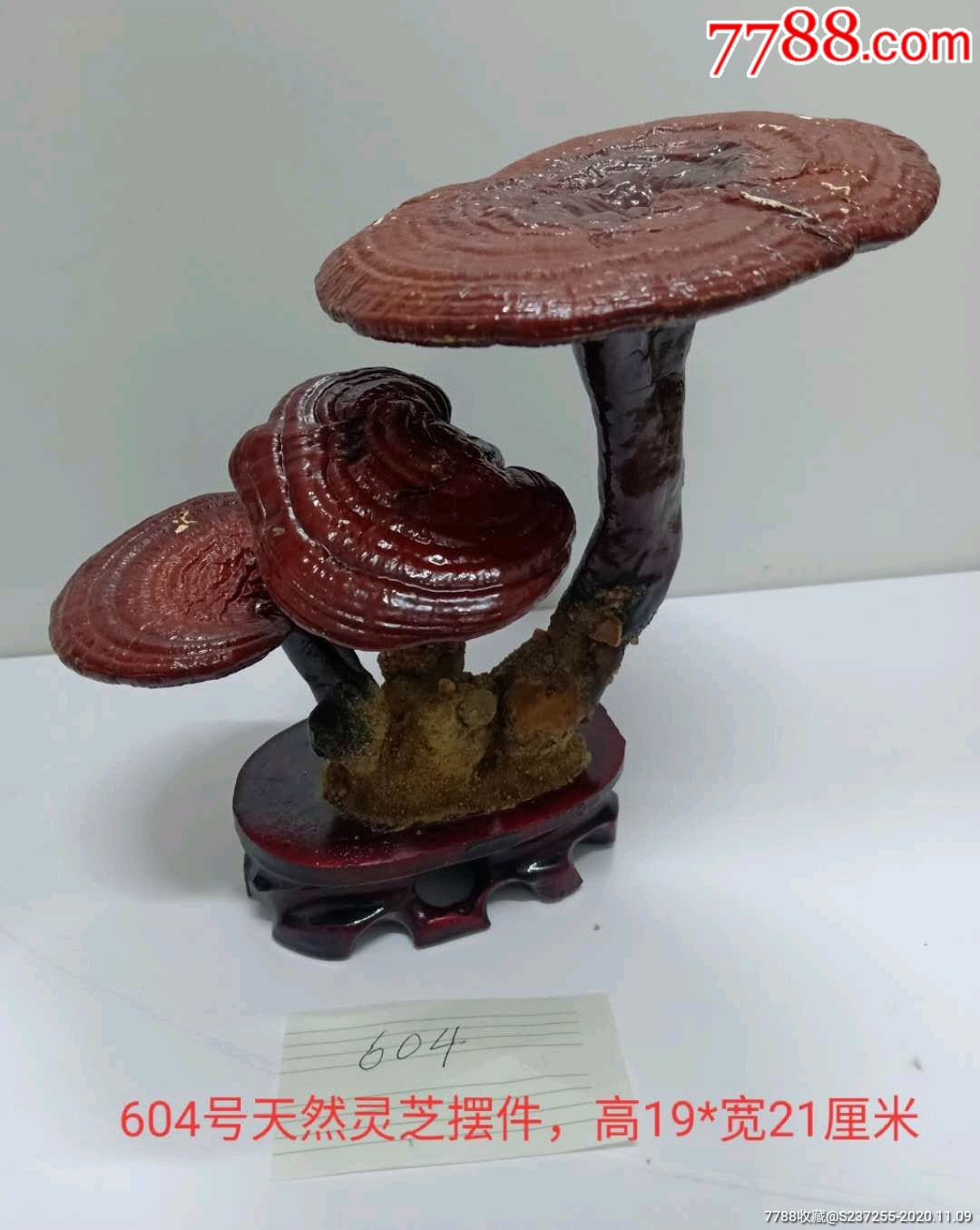 灵芝摆件一个按图发货配实木底座看清再拍