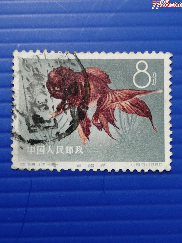 特38金鱼(12-9)筋票信销票基本上品全戳中国邮票收藏实物拍摄