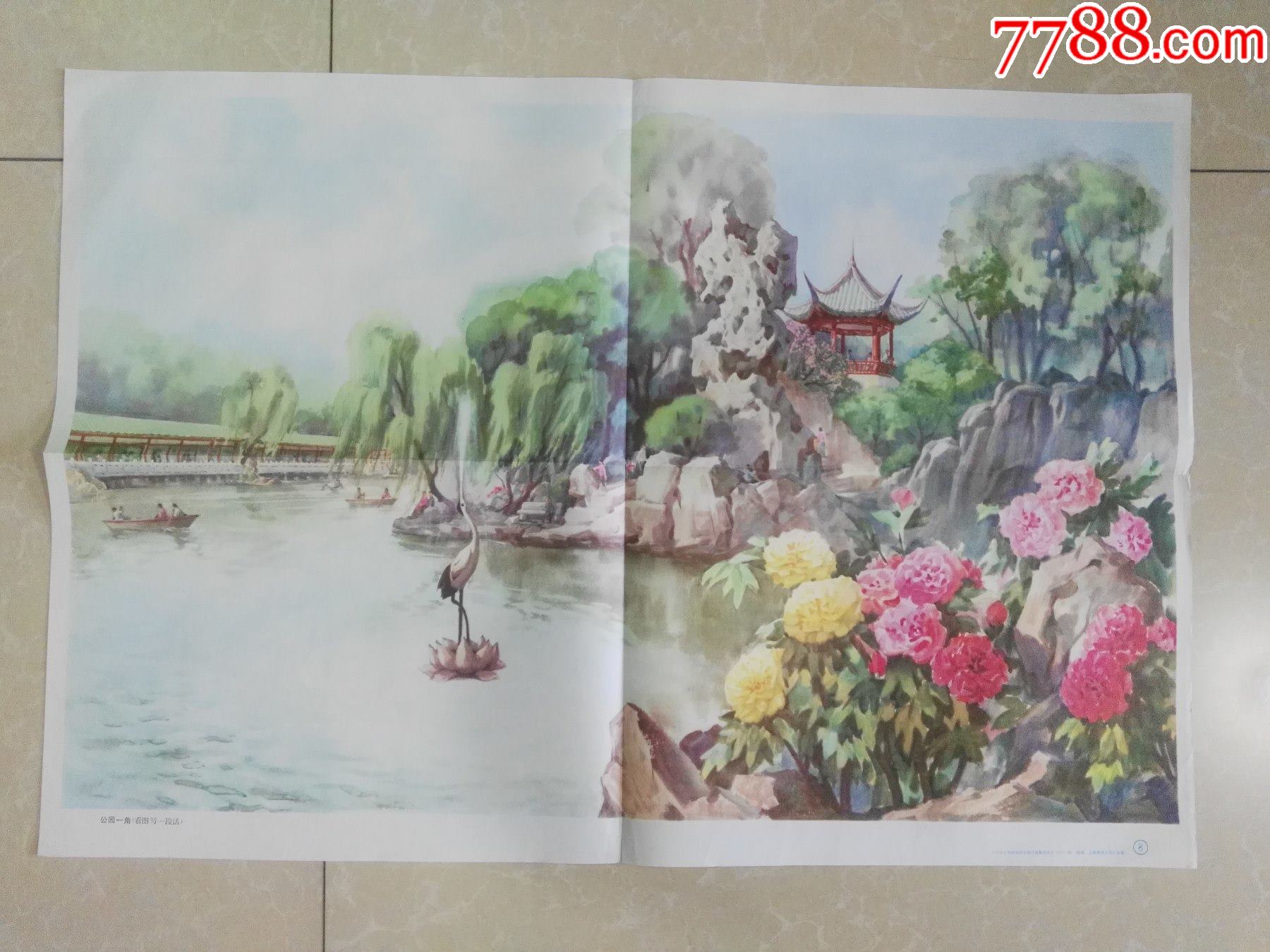 陈强画公园一角看图写一段话
