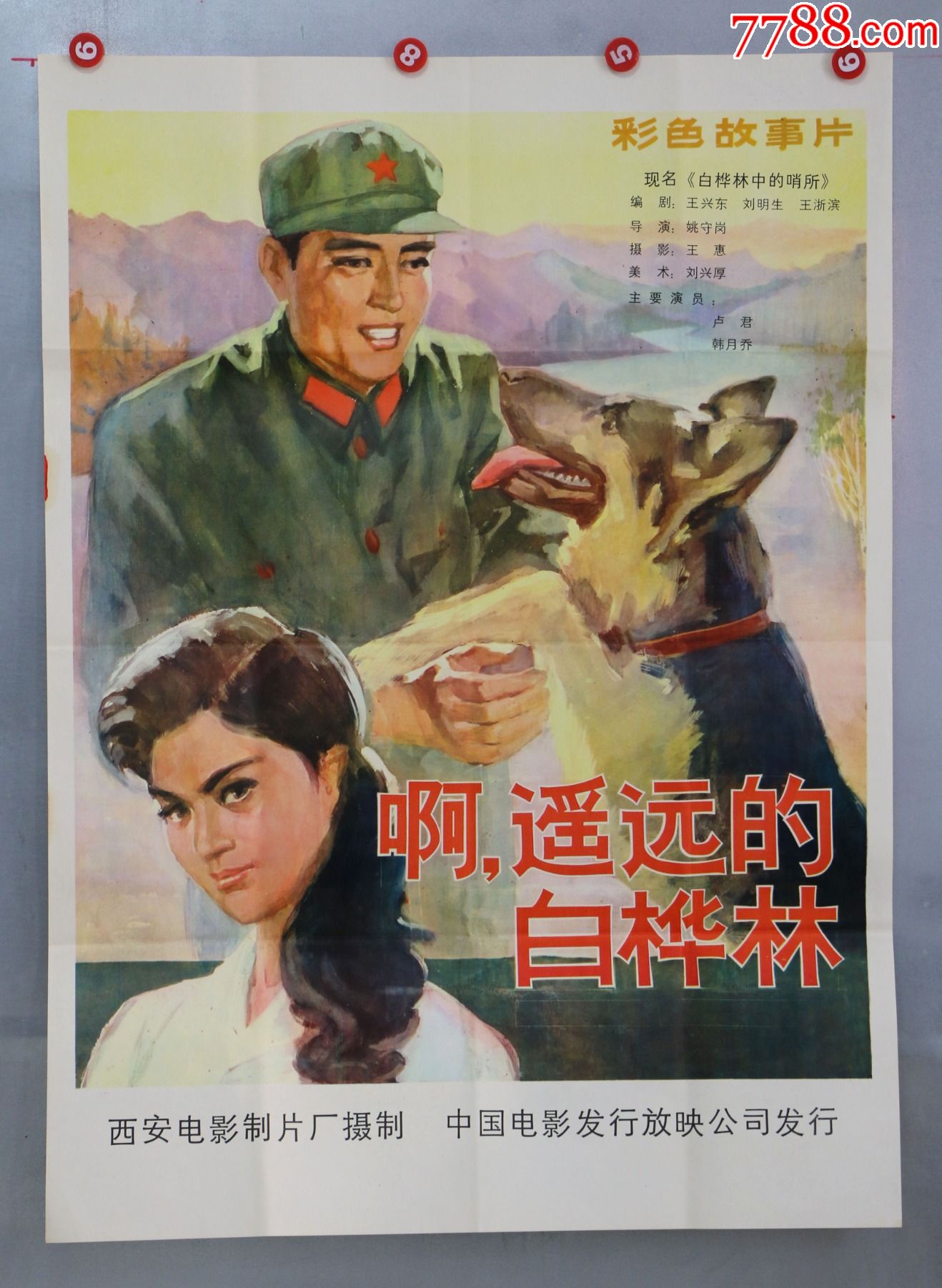 啊,遥远的白桦林-电影海报-7788收藏