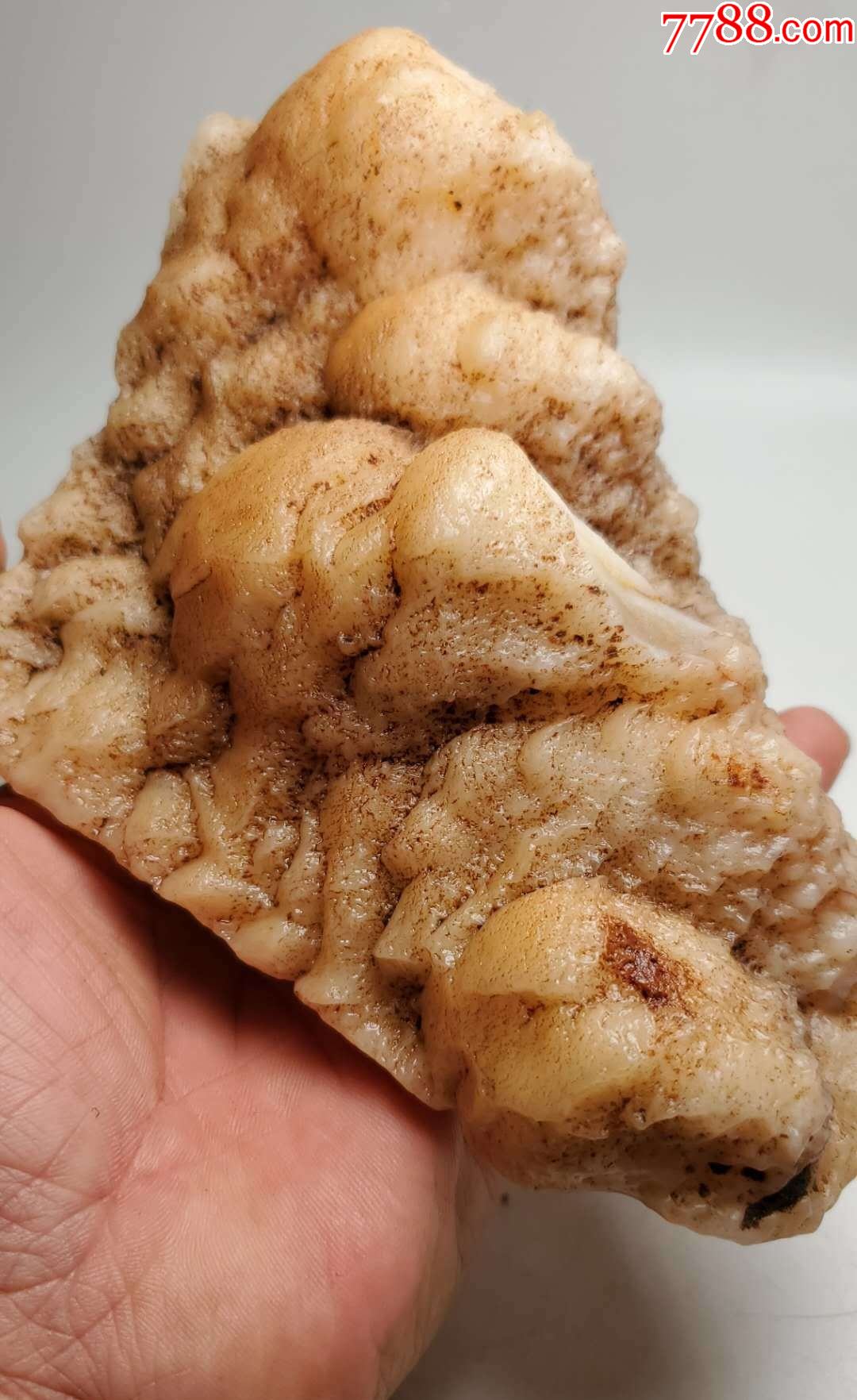 4350戈壁沙漠漆790克_价格80元_第1张_7788商城__七七八八商品交易