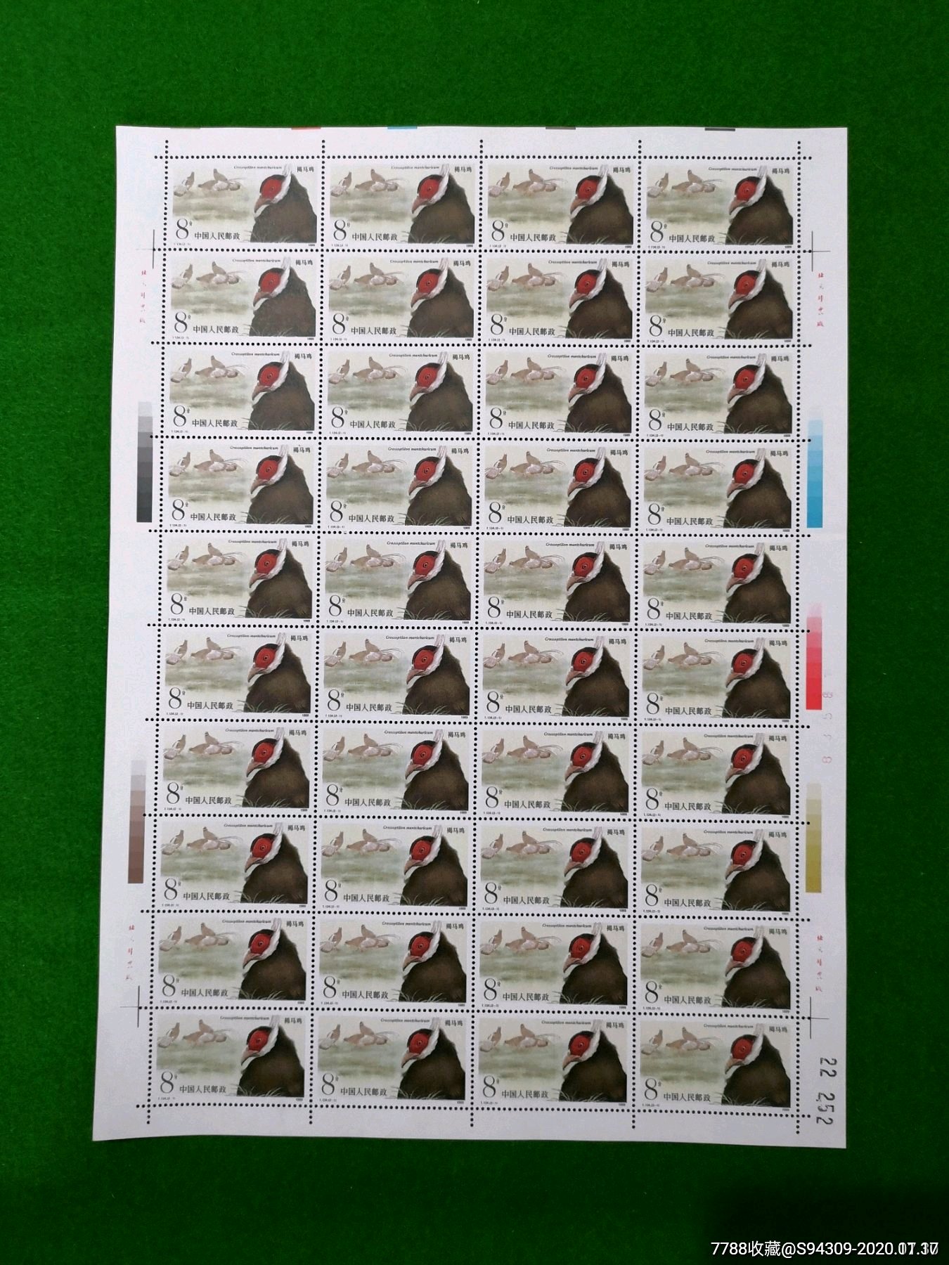 t134褐马鸡整版票