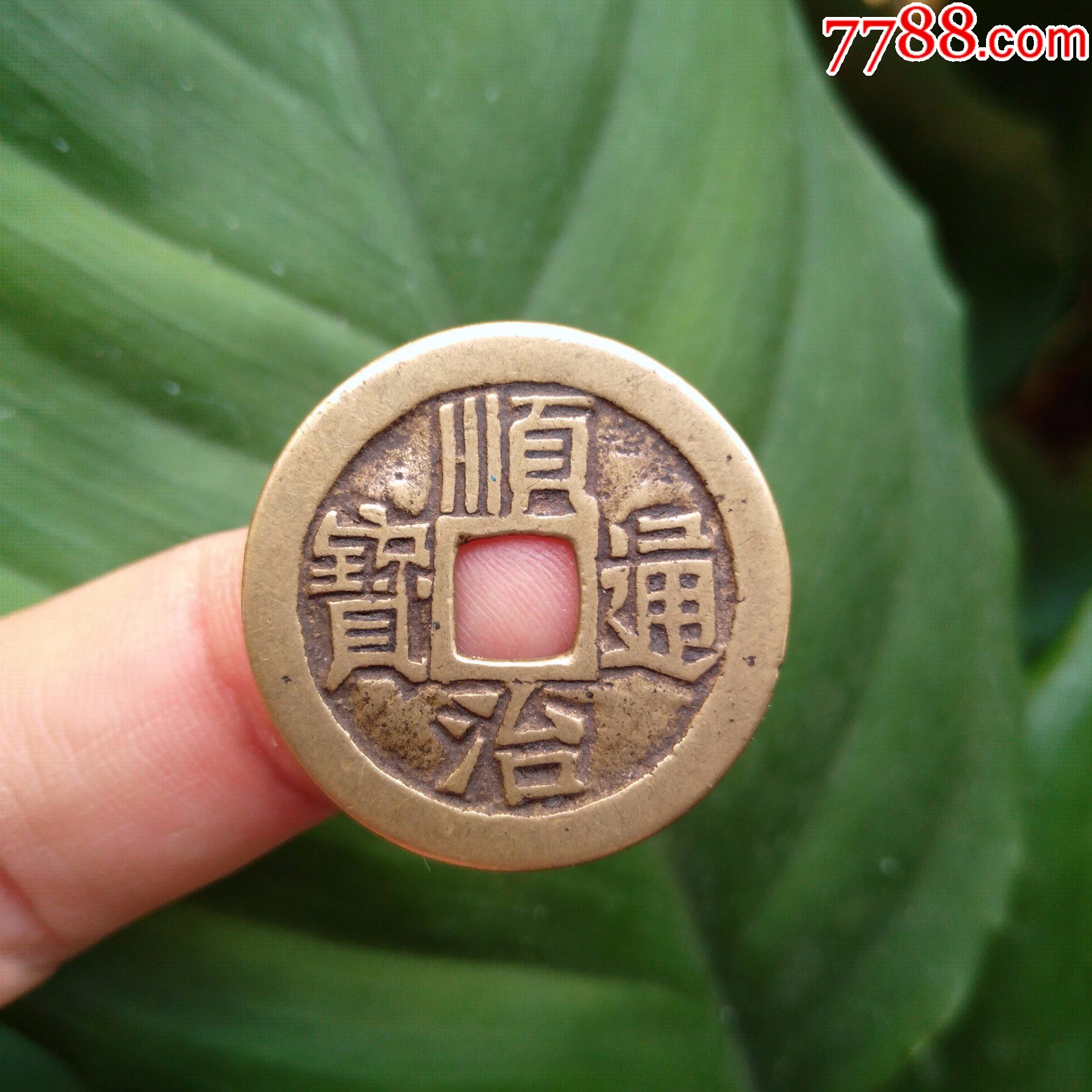 保真古董清代古钱币真品五帝钱黄亮极美顺治通宝传世评级古币