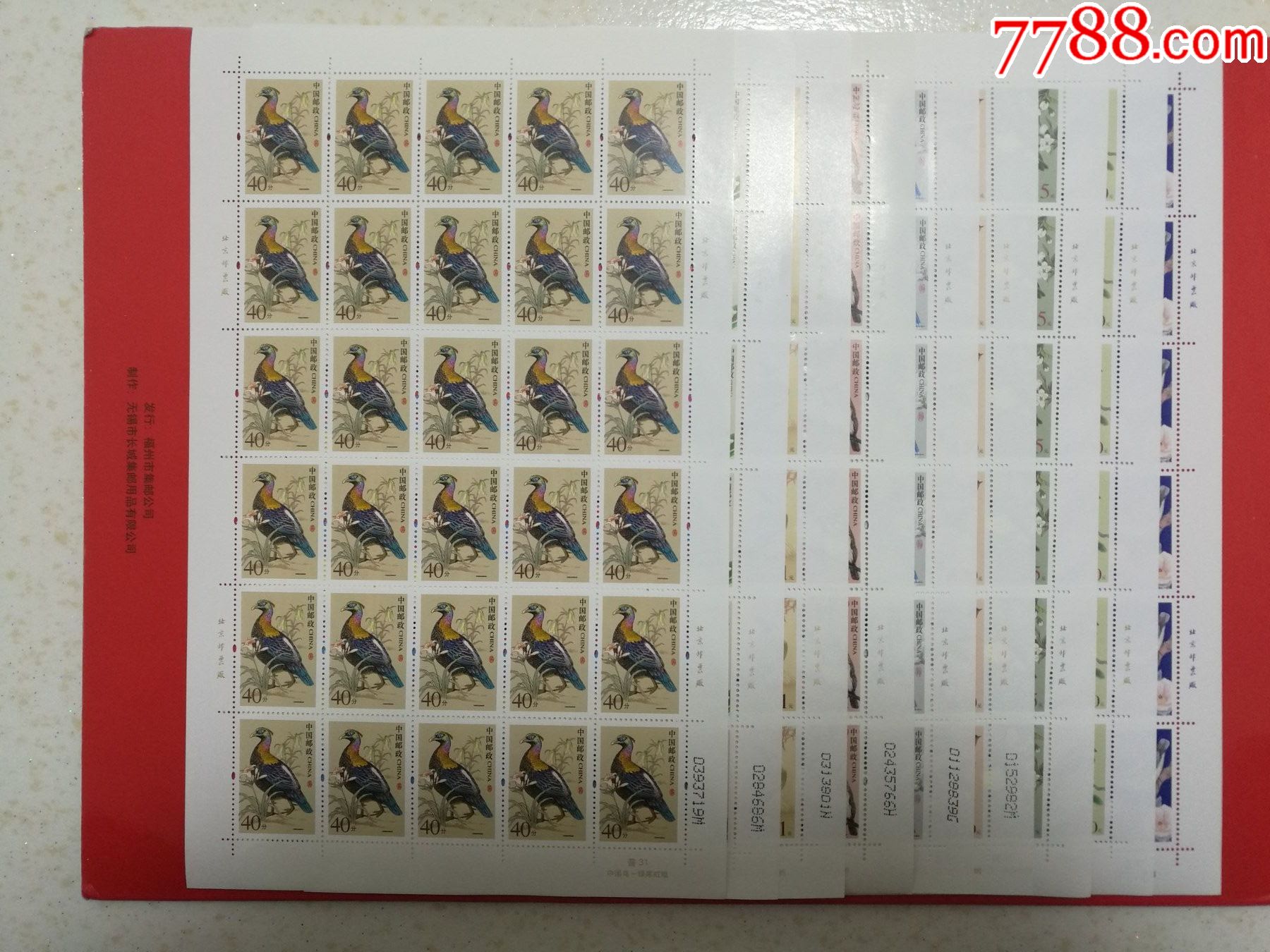 普31中国鸟整版大全套