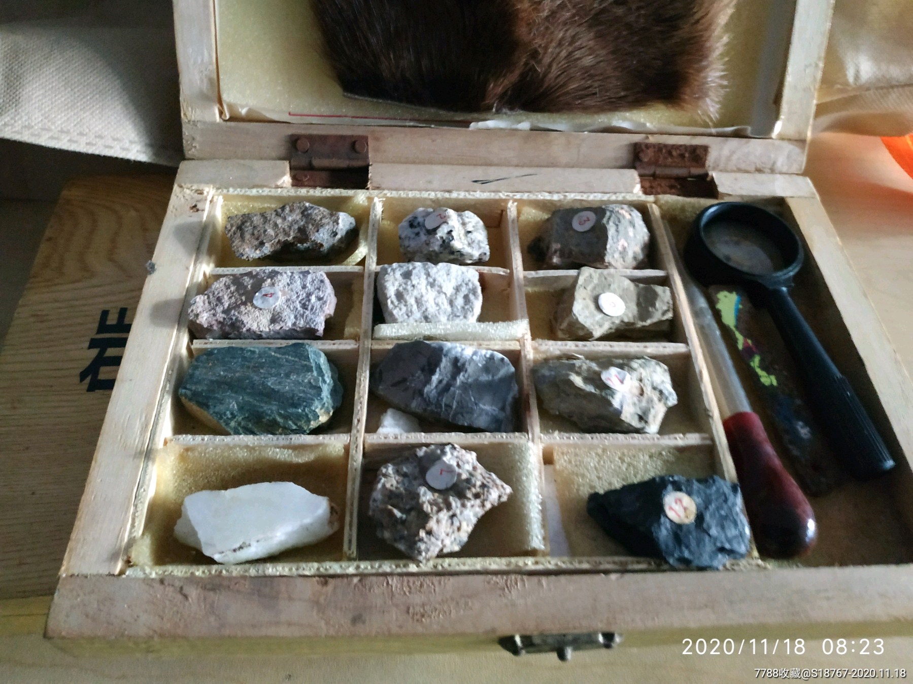 岩石化石标本实验盒