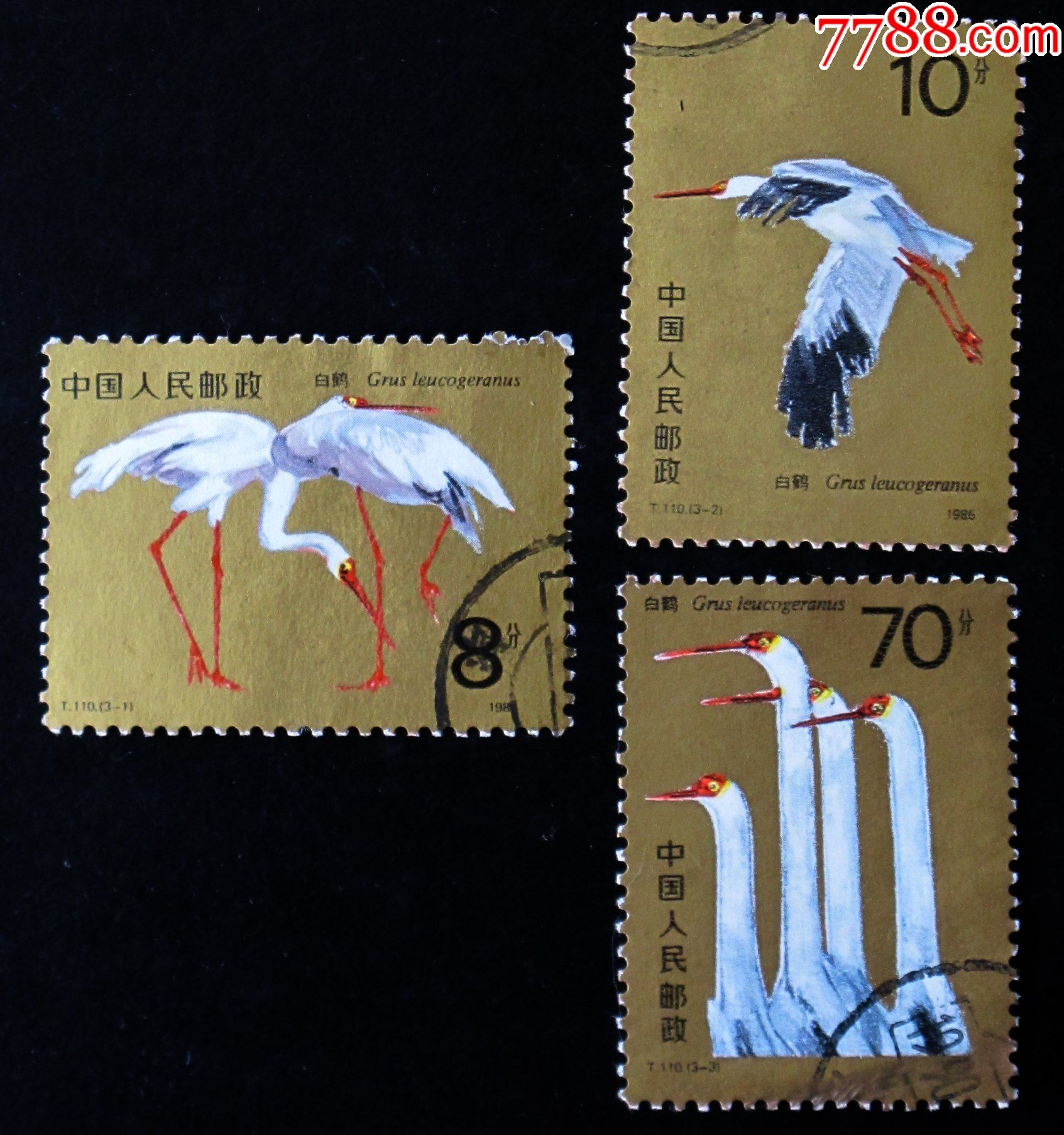 中国邮票t110白鹤信销票