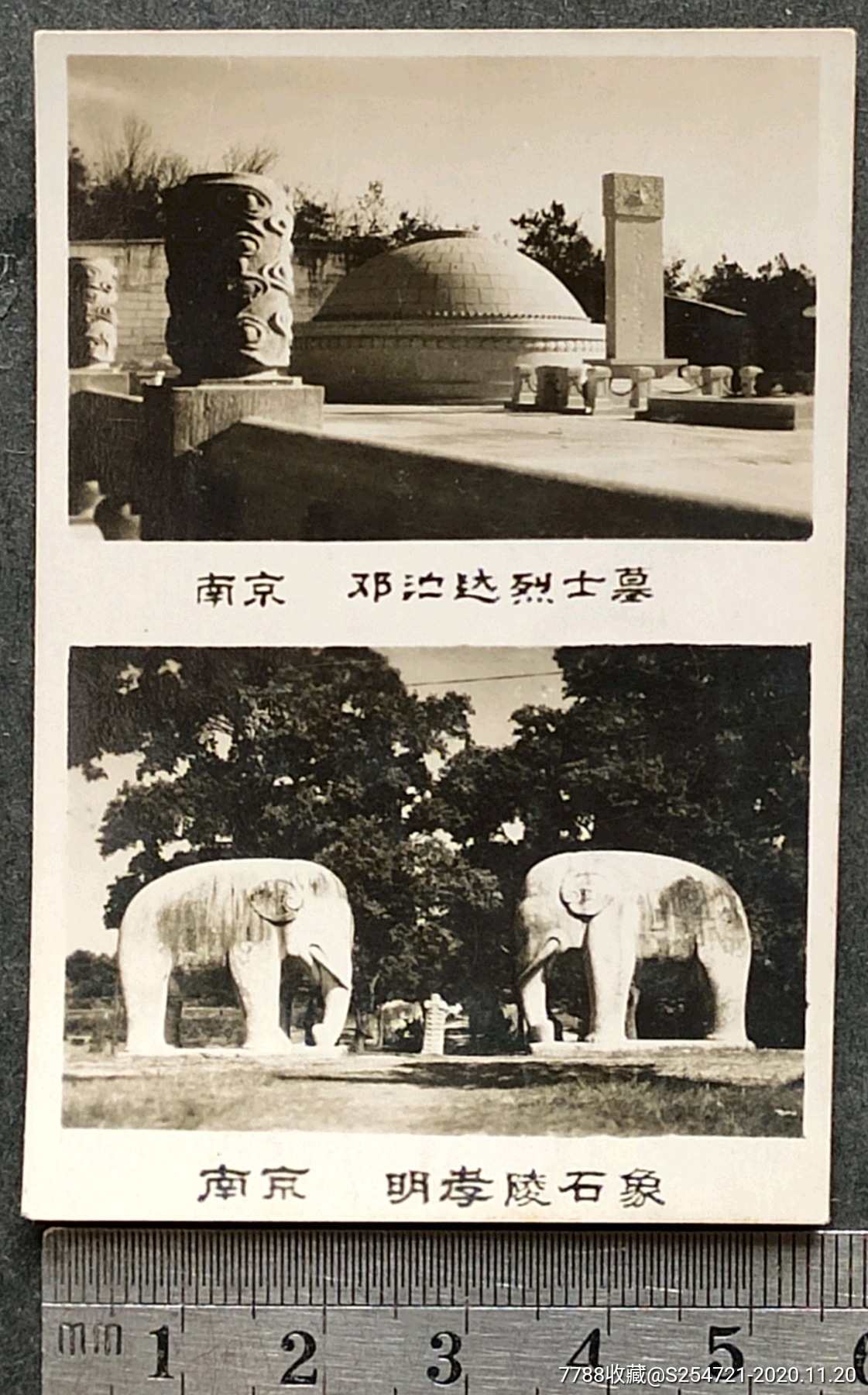 老照片南京邓演达墓,明孝陵石像