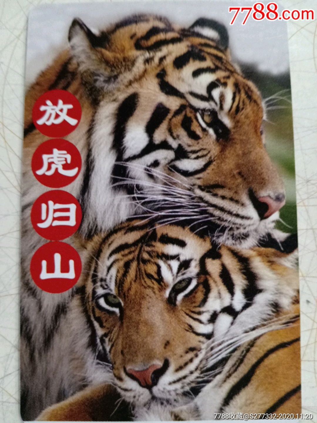 放虎归山