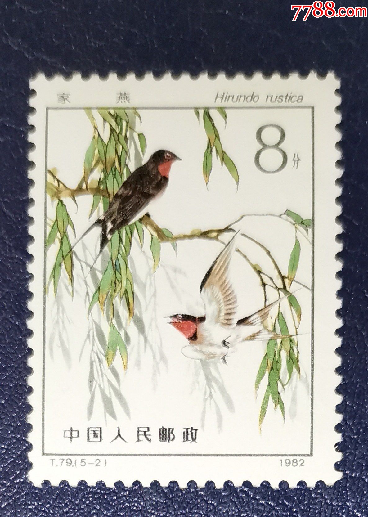 t79益鸟-2,新票_新中国邮票_第1张_7788集邮网